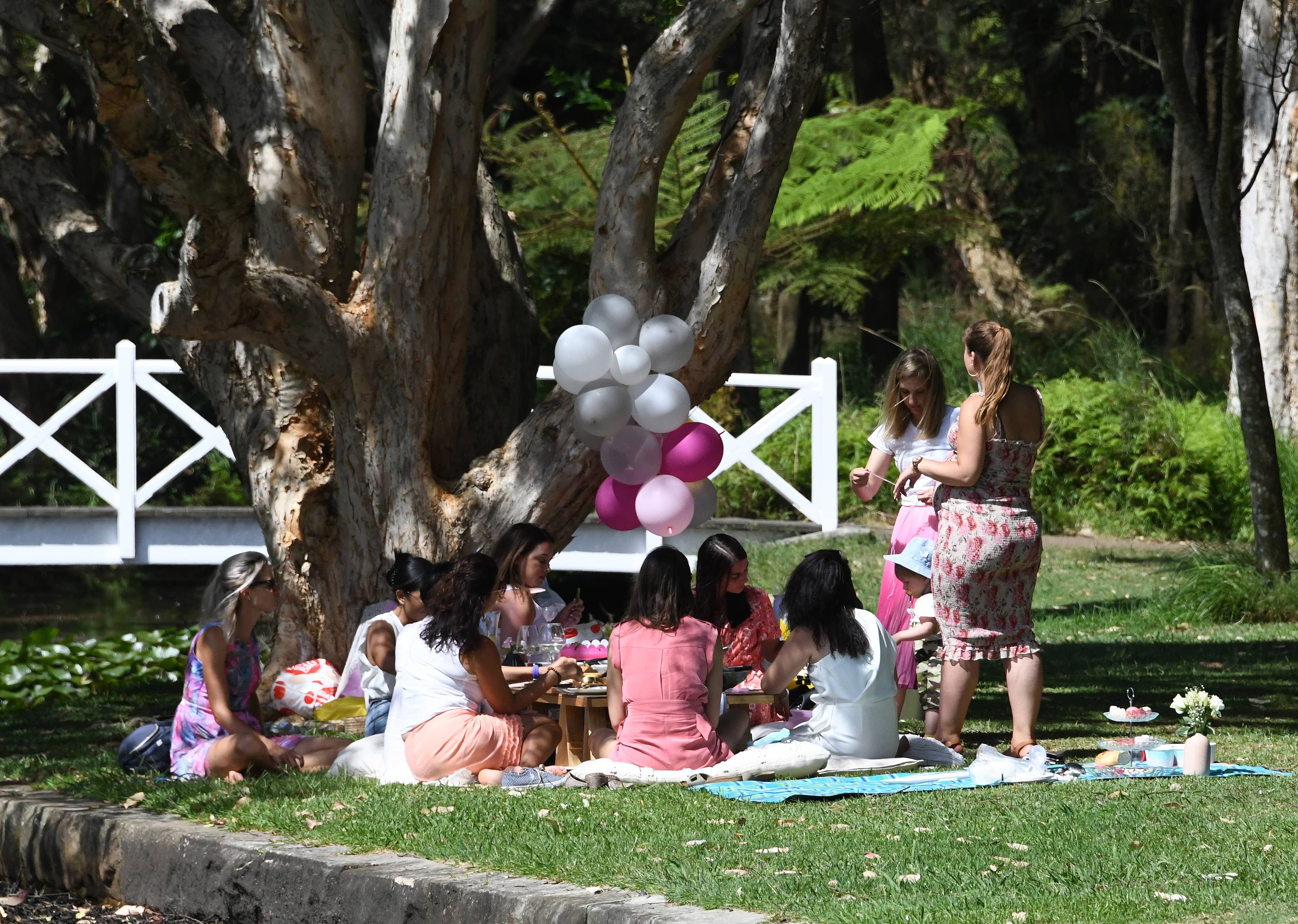 Picnic and Play