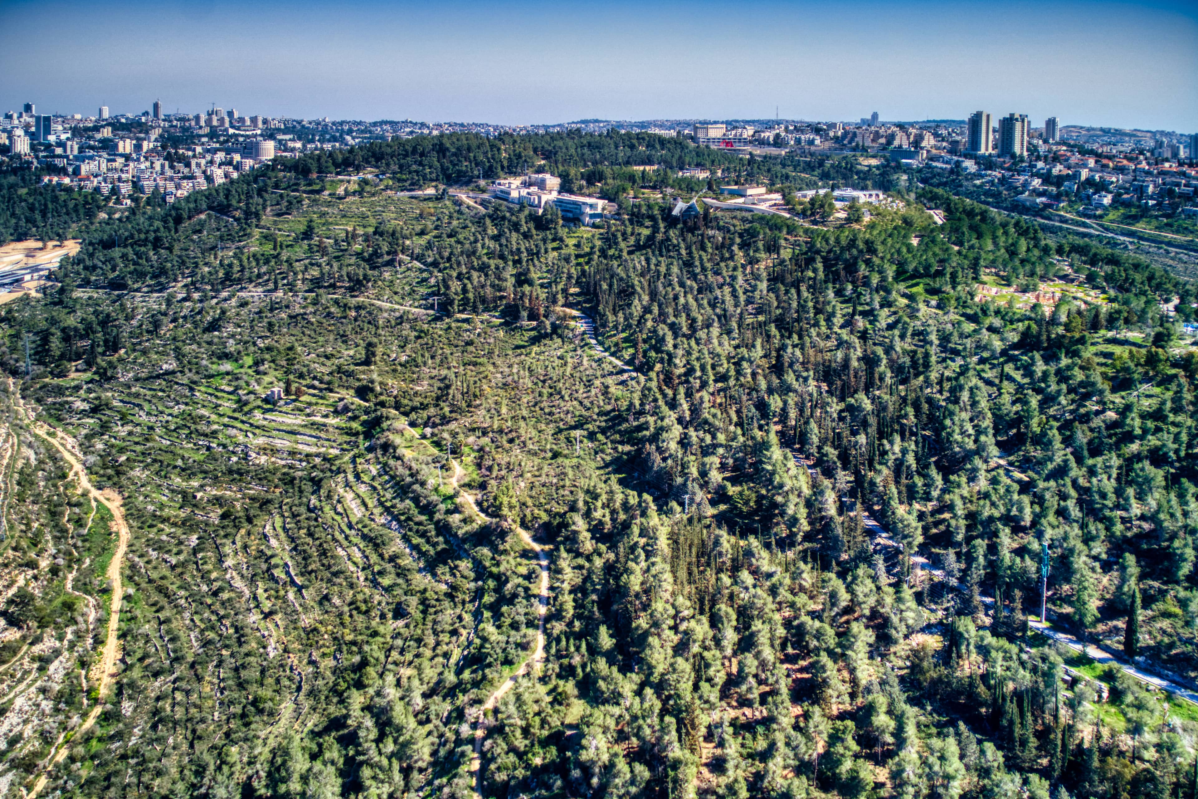 Yad Vashem Adjacent Views