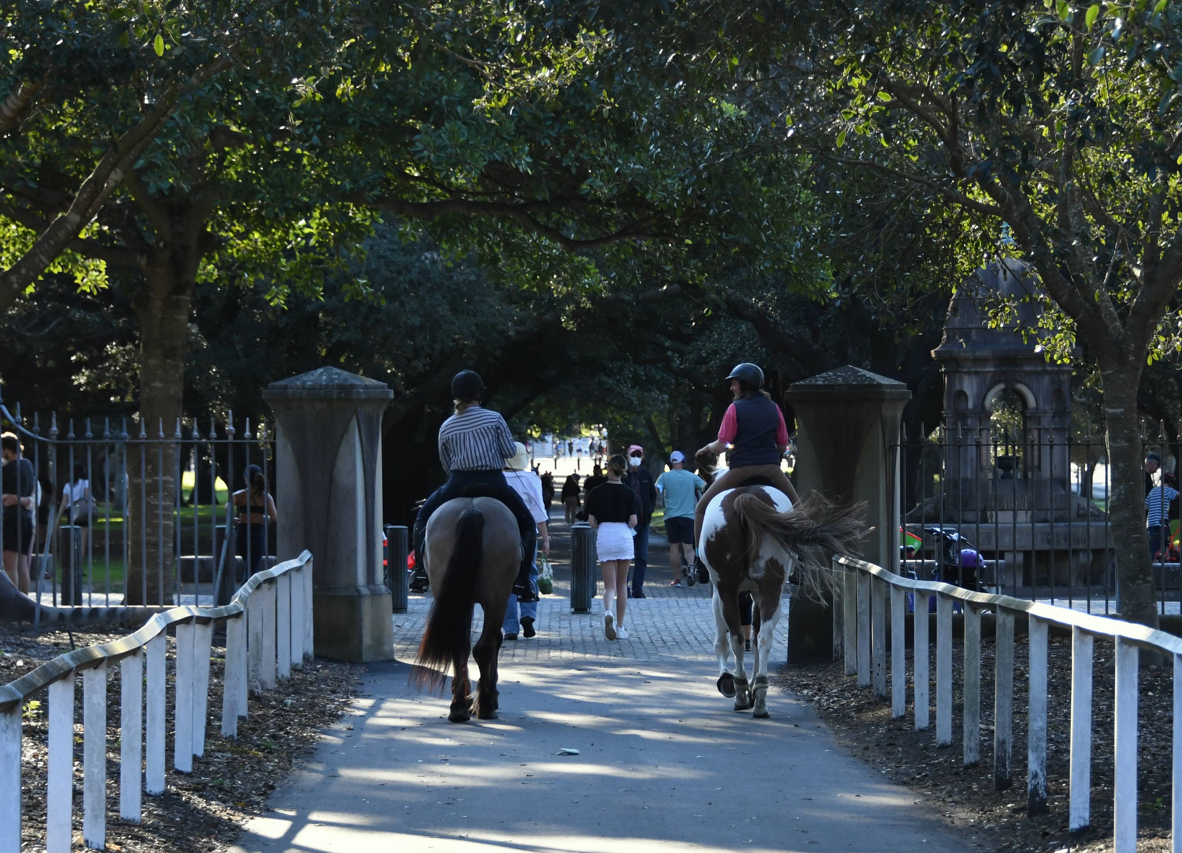 Equestrian Adventures