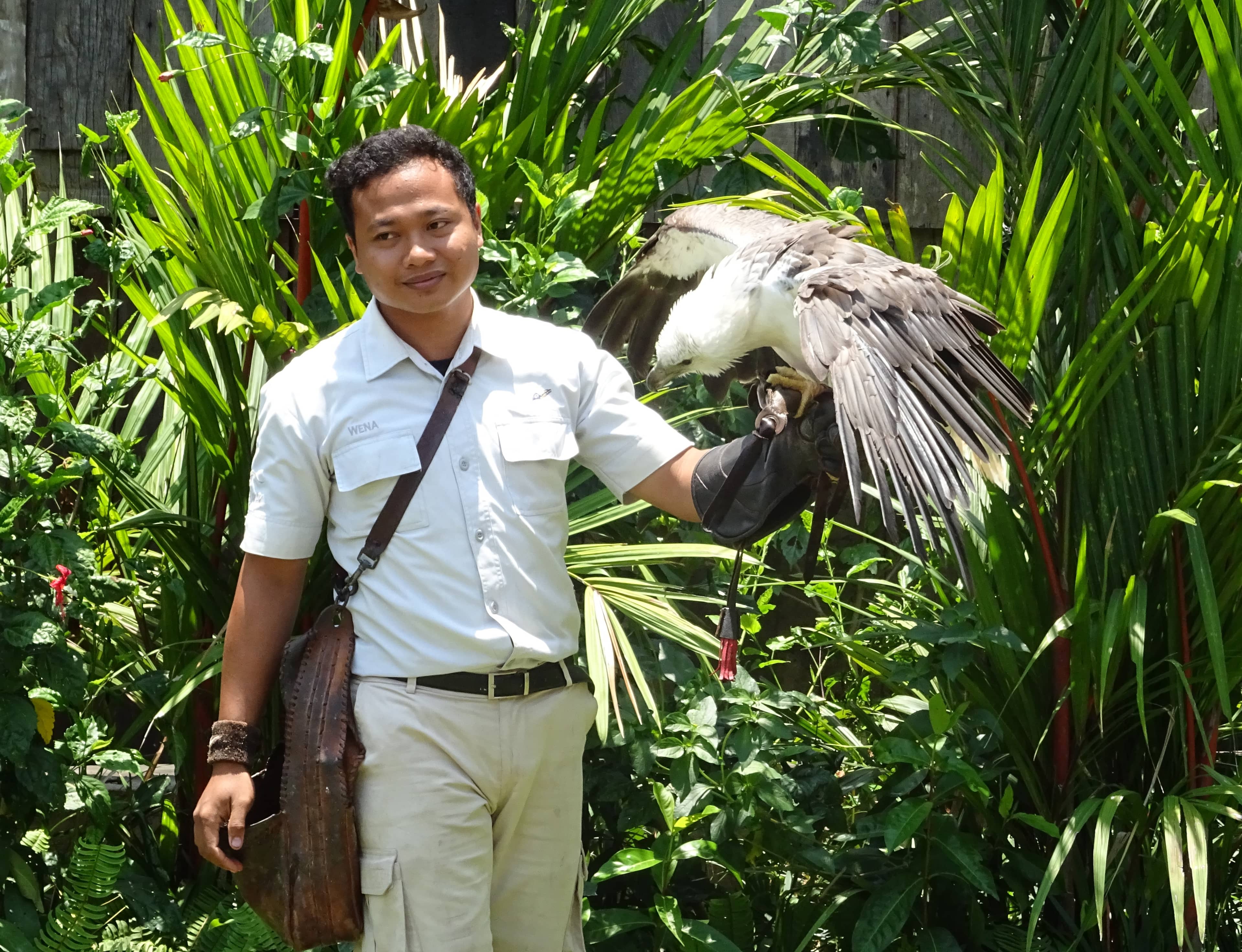 Interactive Bird Shows