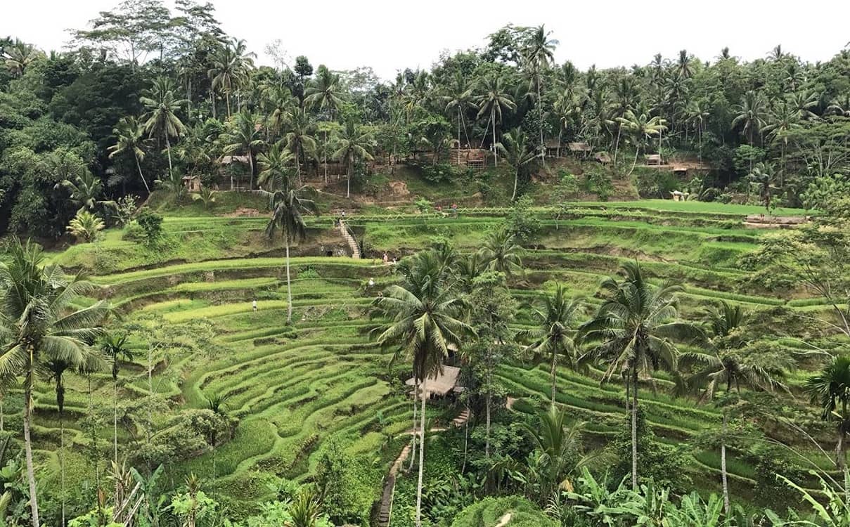 Instagrammable Photo Spots