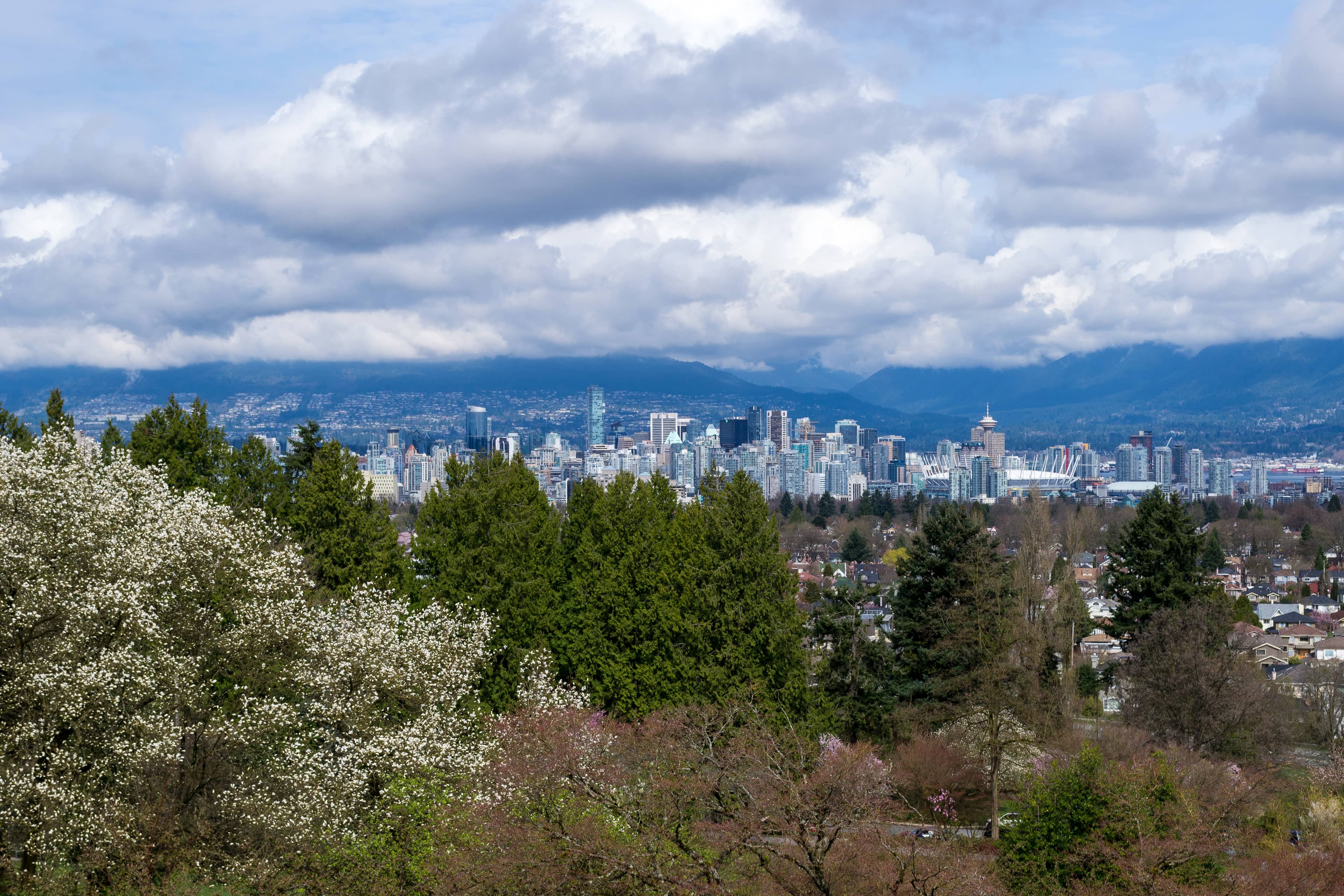 Panoramic City Views