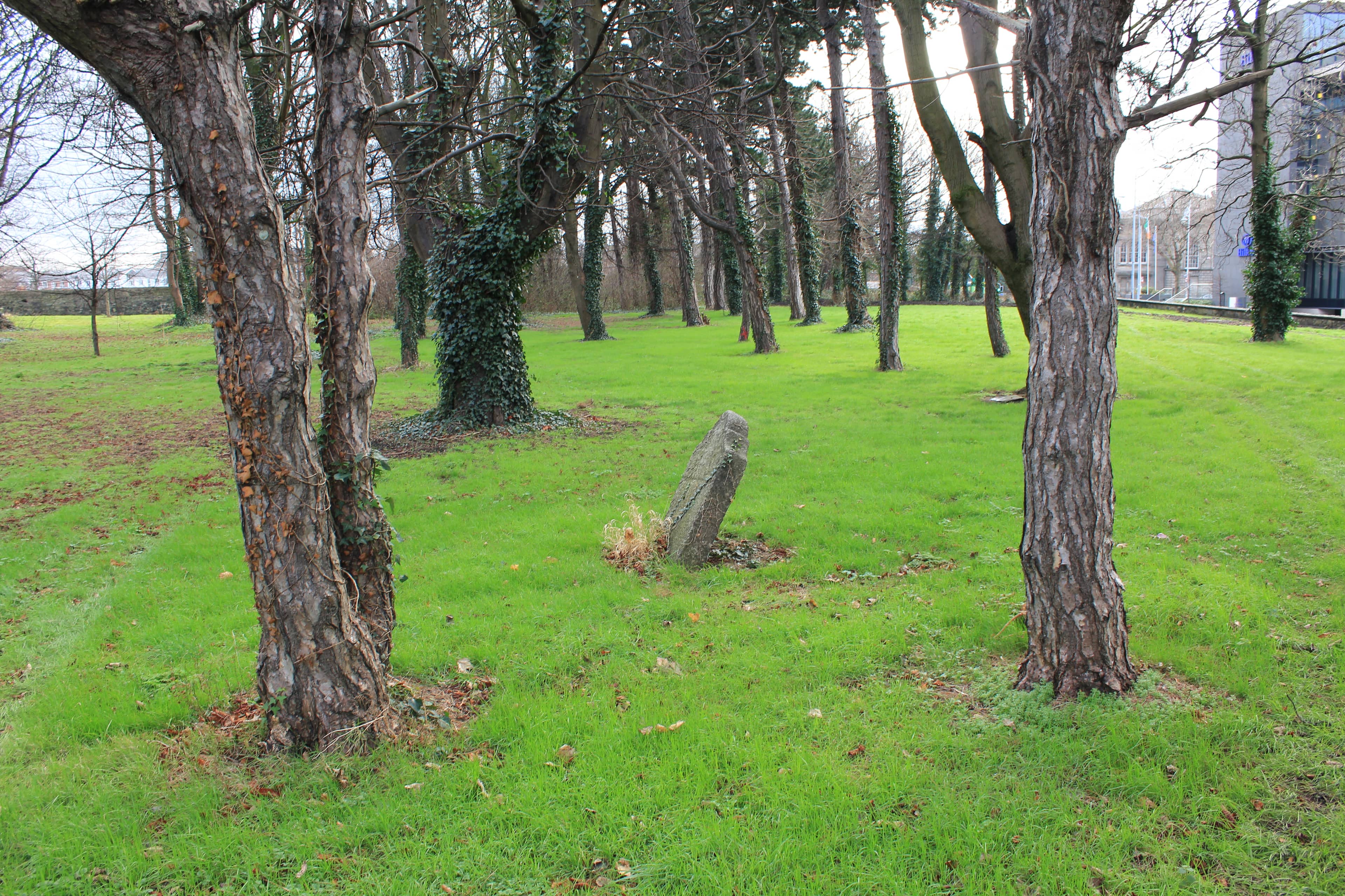 Royal Hospital Kilmainham Vicinity