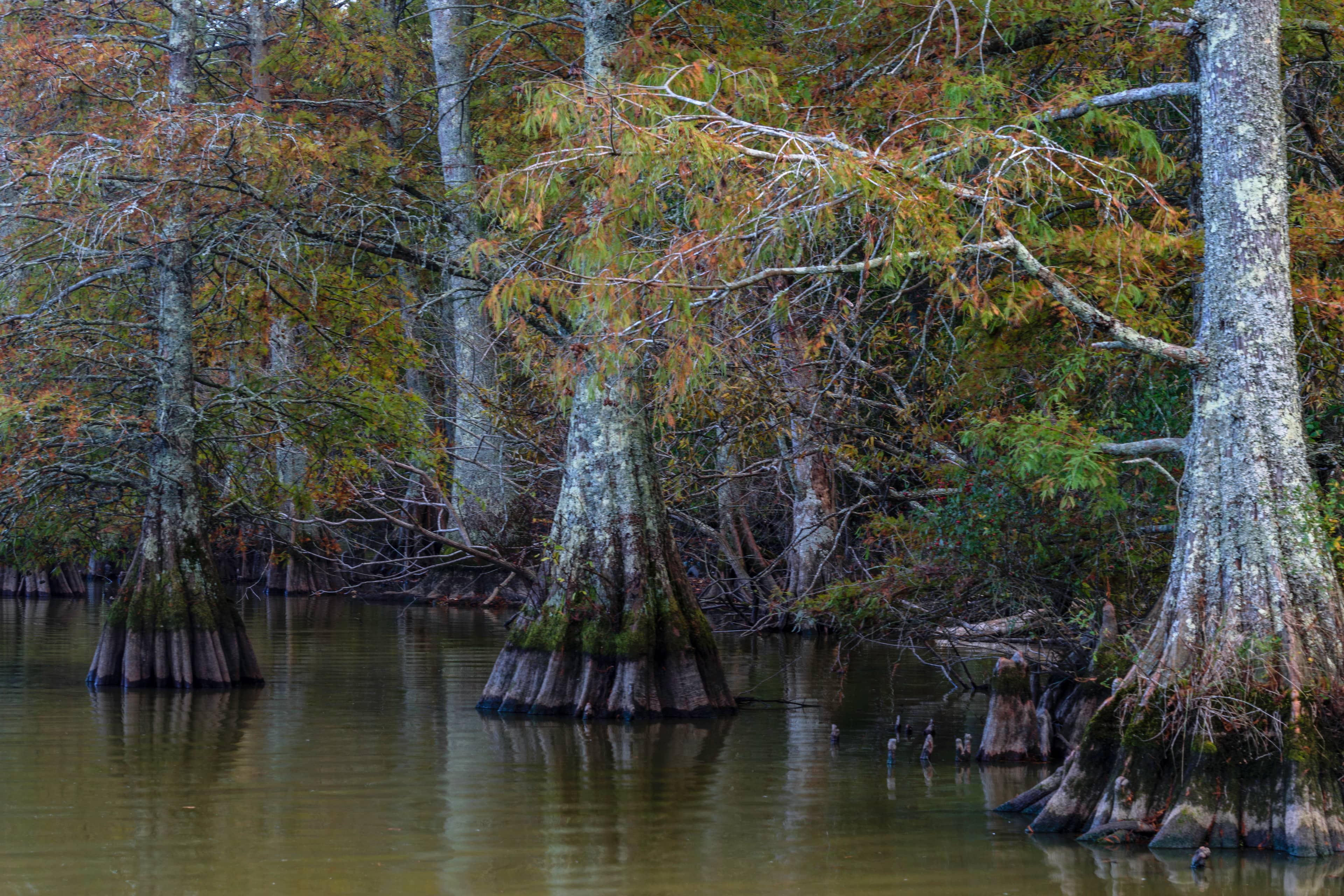 Nature Trails