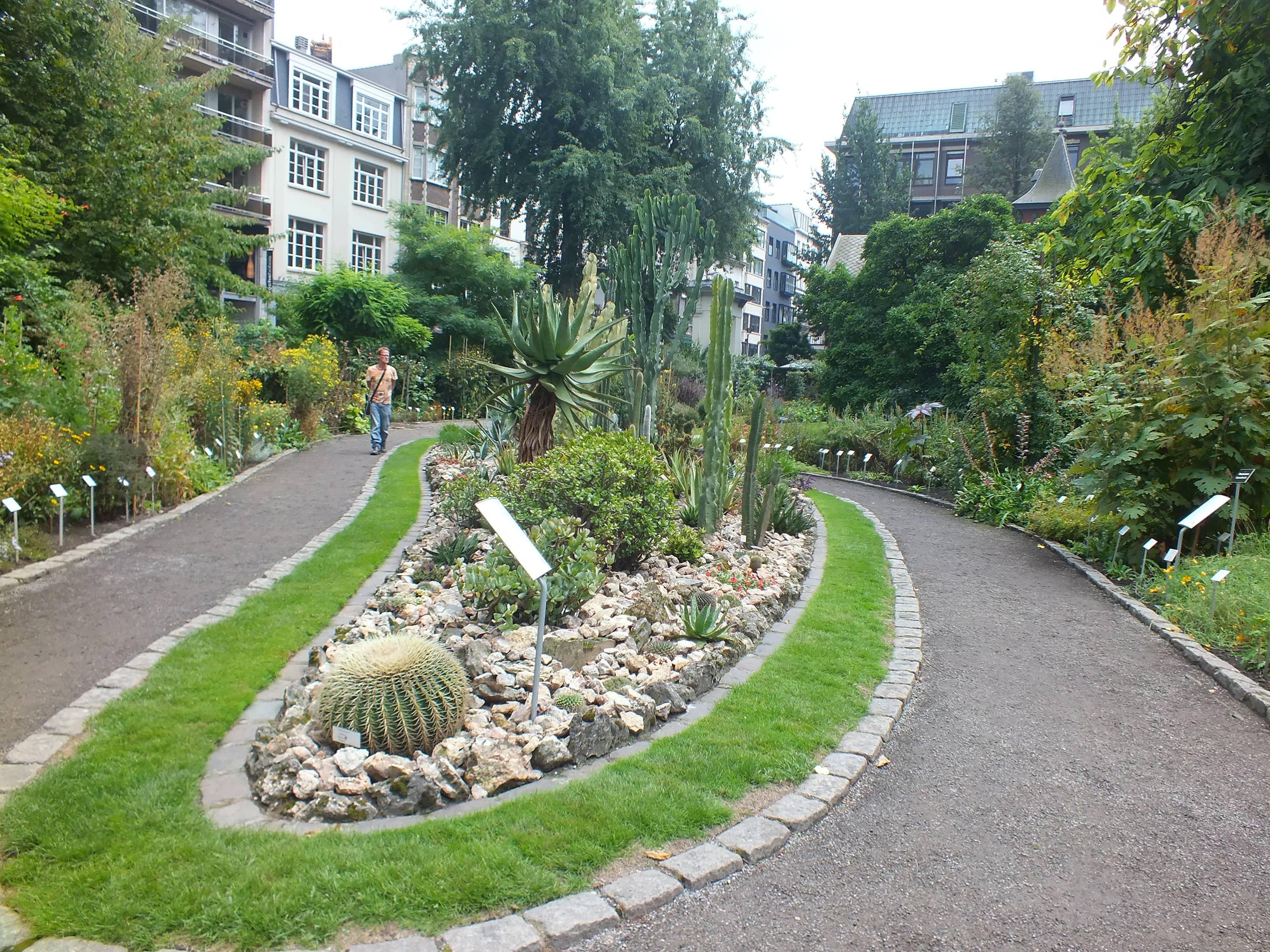 Exotic Plant Collection