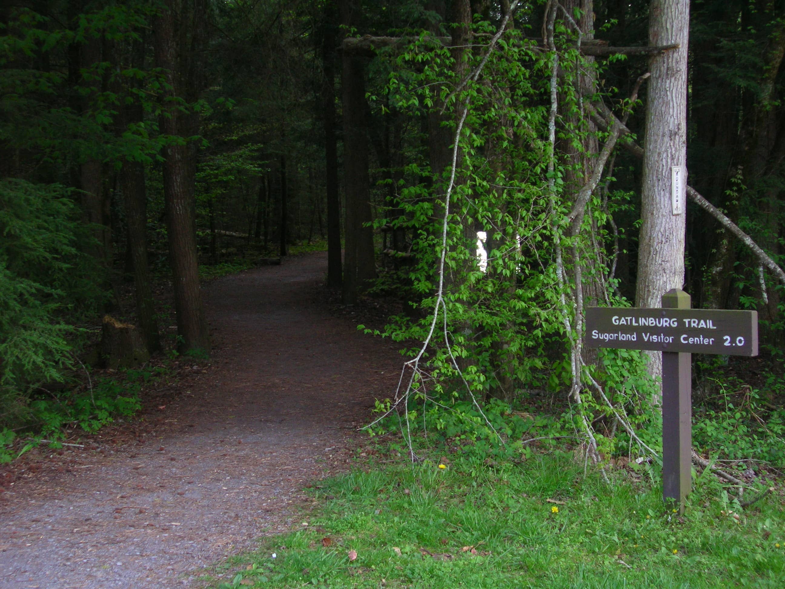 Lakeside Nature Trails