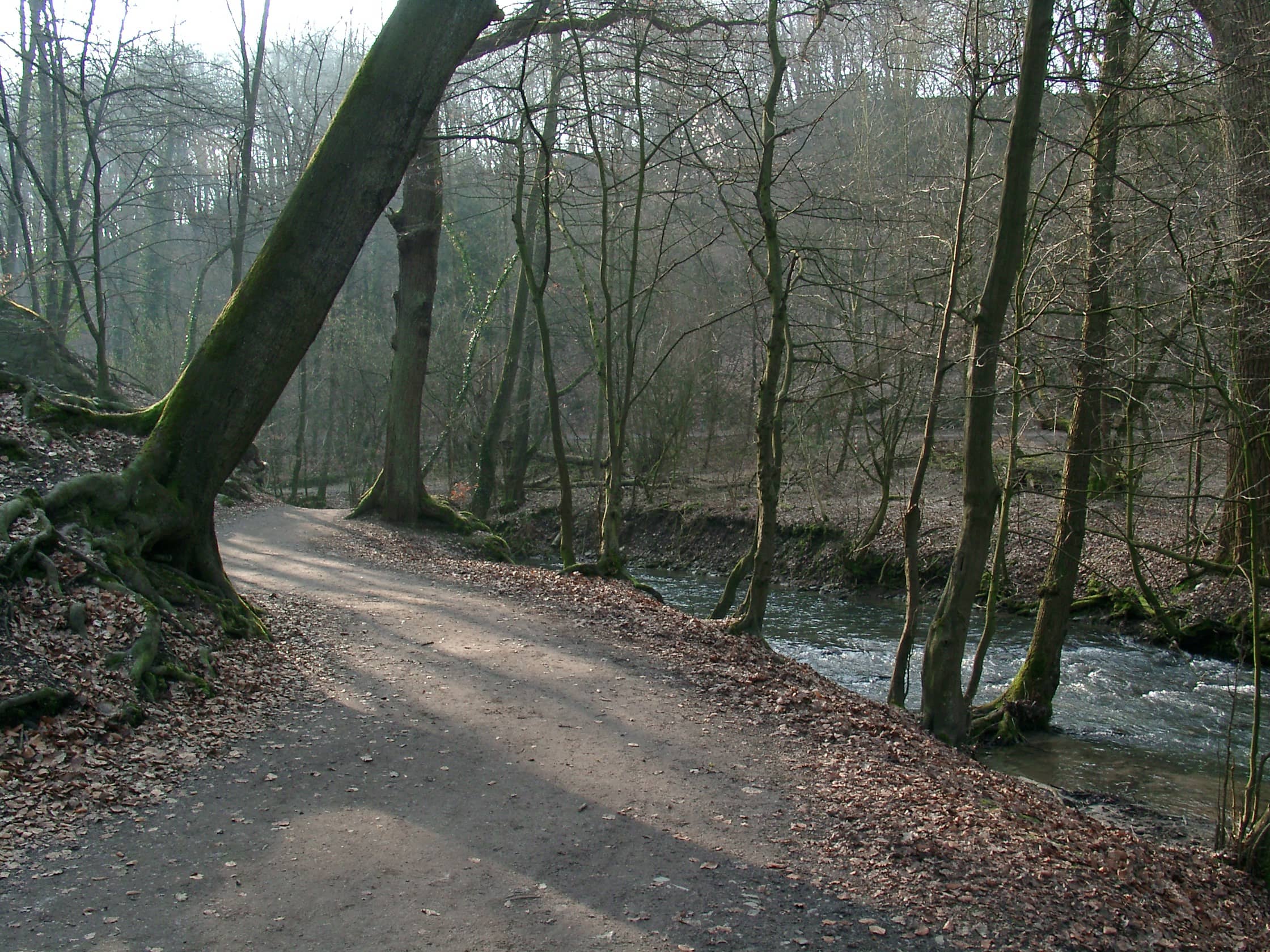 Neanderthal Museum Surroundings