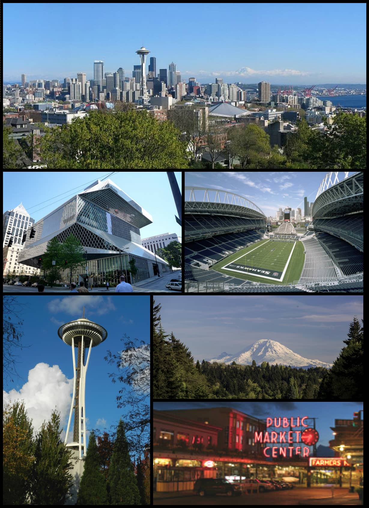 Mount Rainier Vista