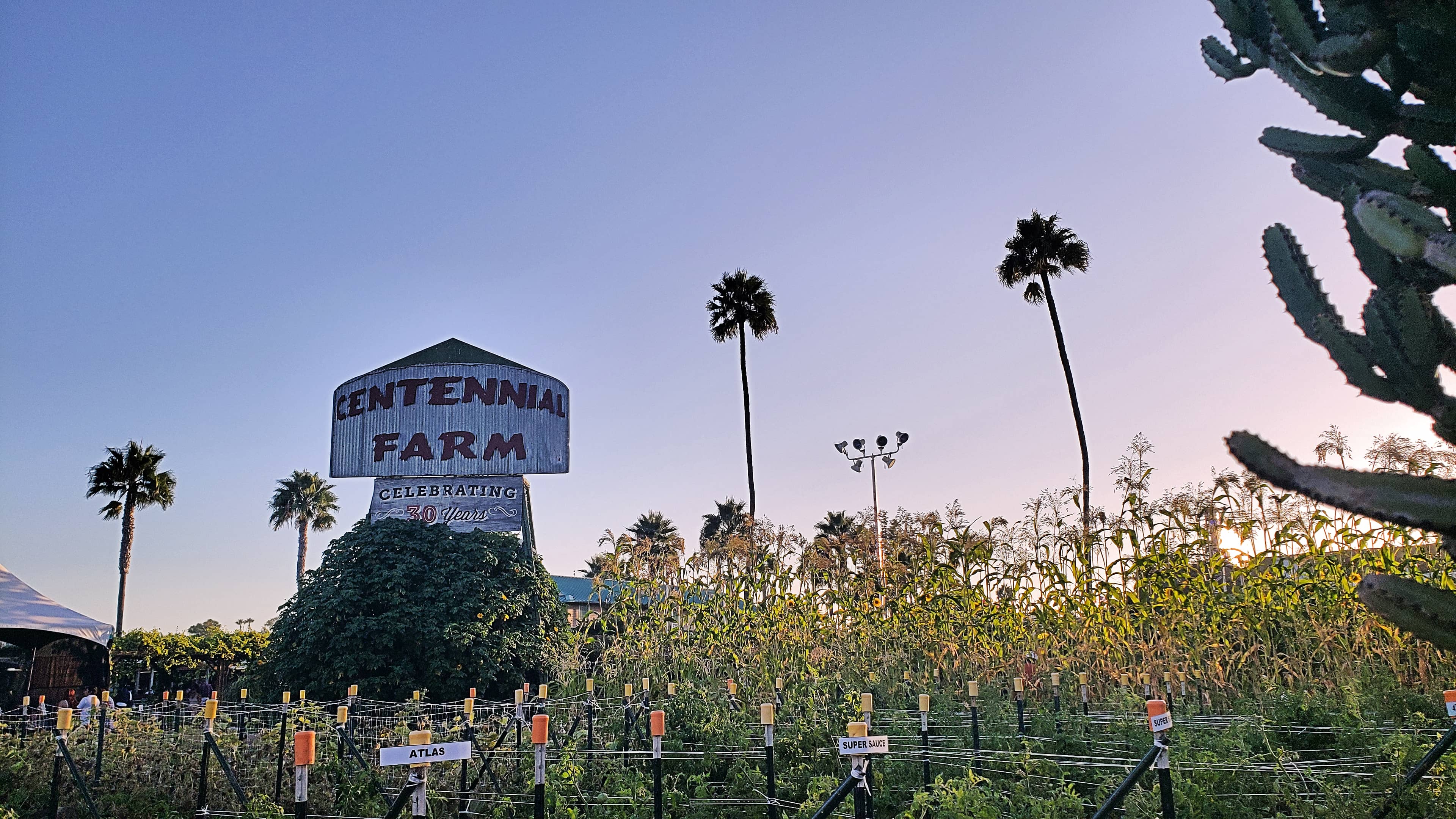 Educational Gardens