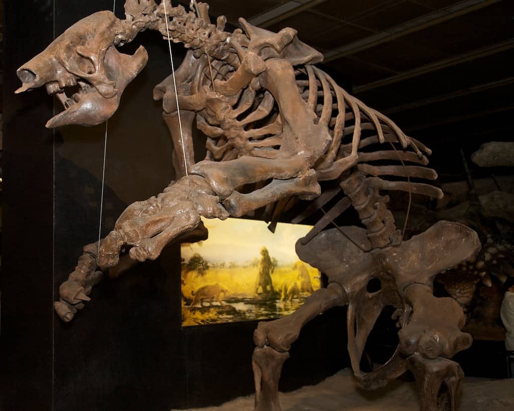 Fossil Dig Pit