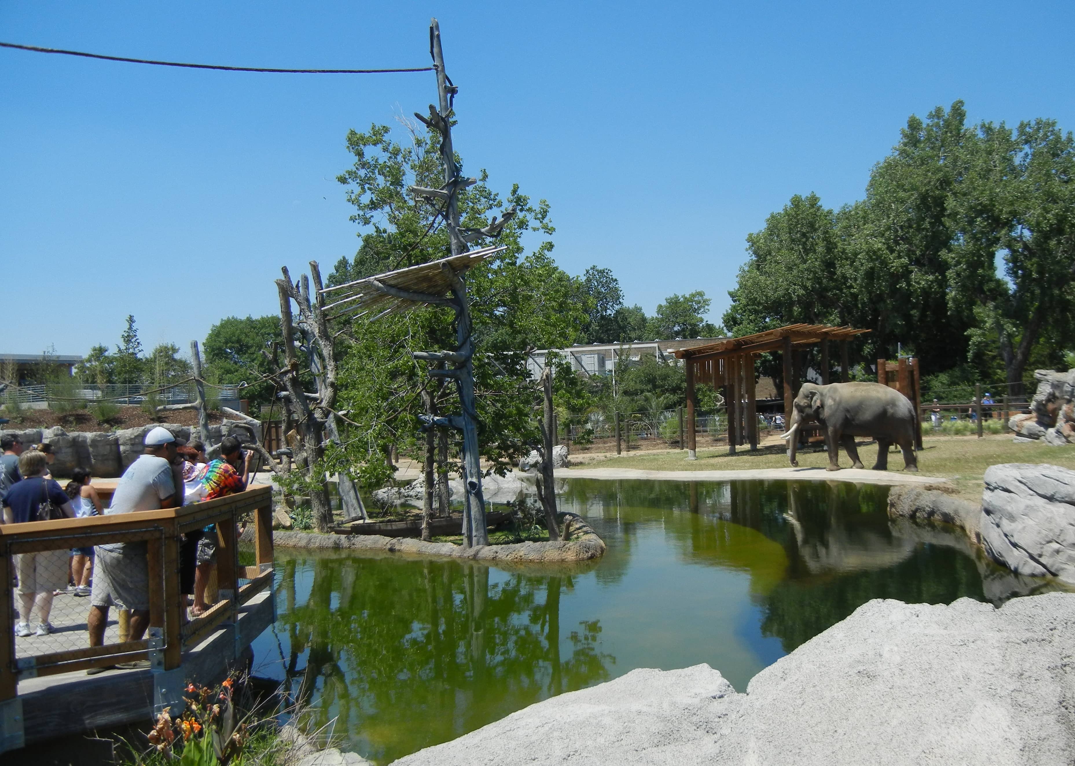 Water Features & Ponds