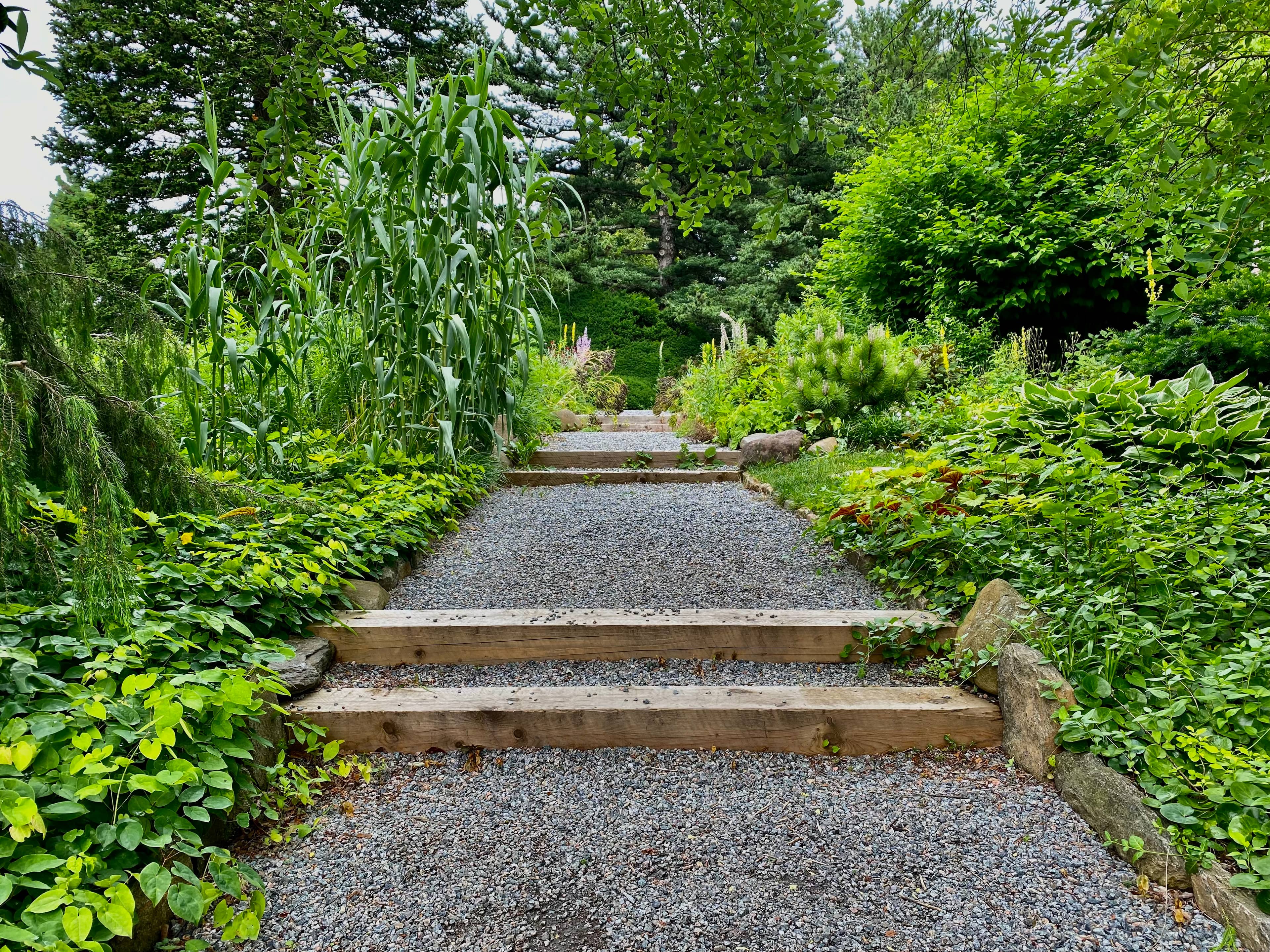Wooded Paths