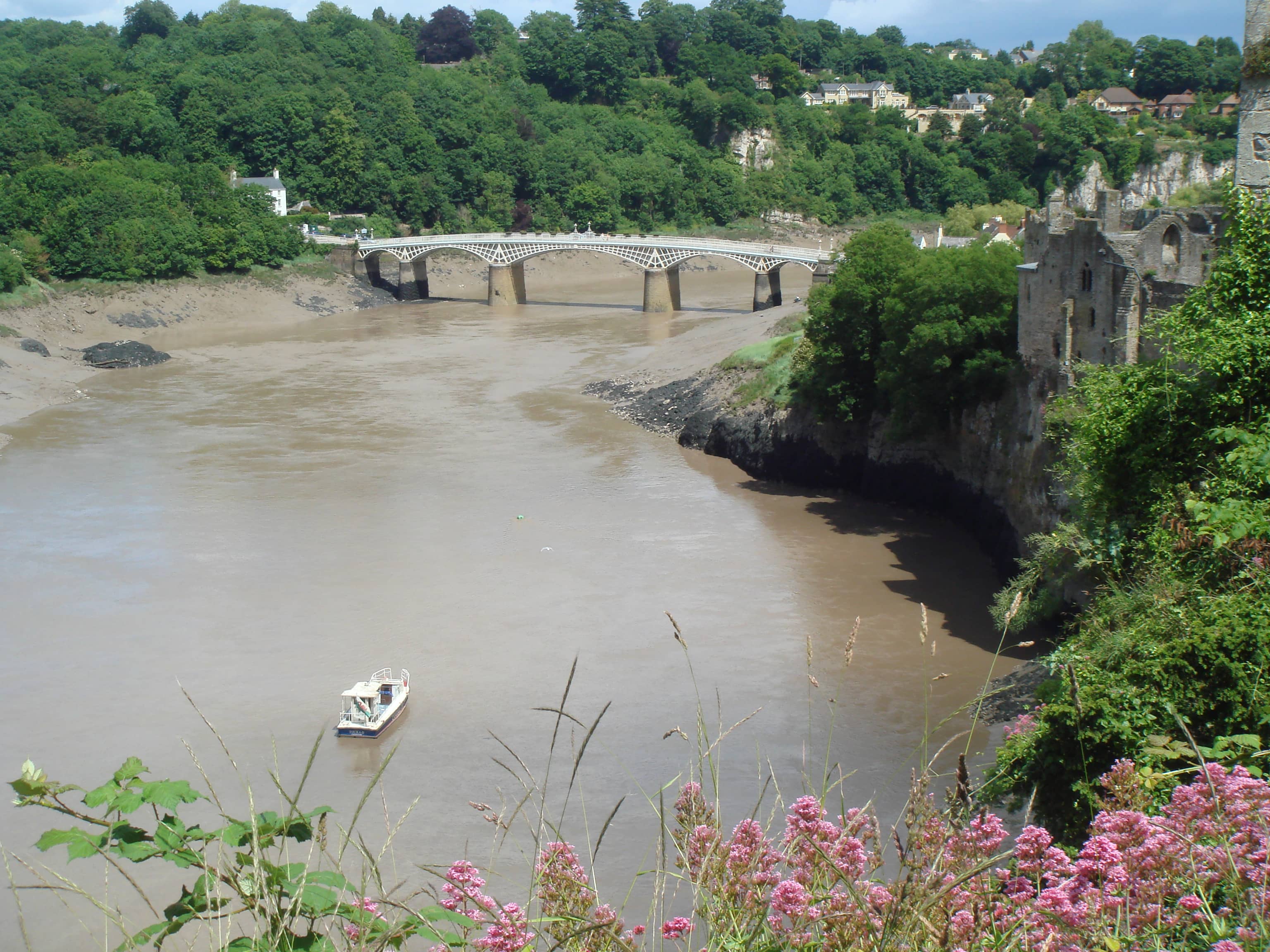 Wye Valley Views