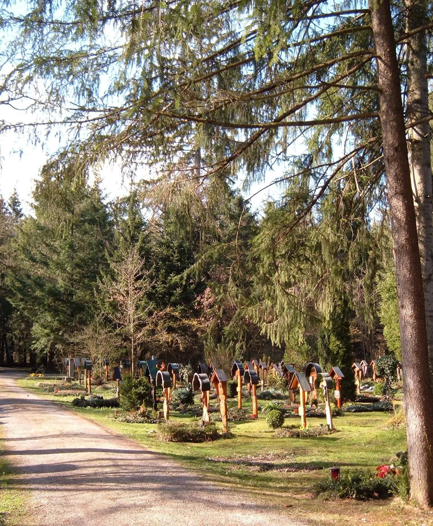 Peaceful Walking Paths
