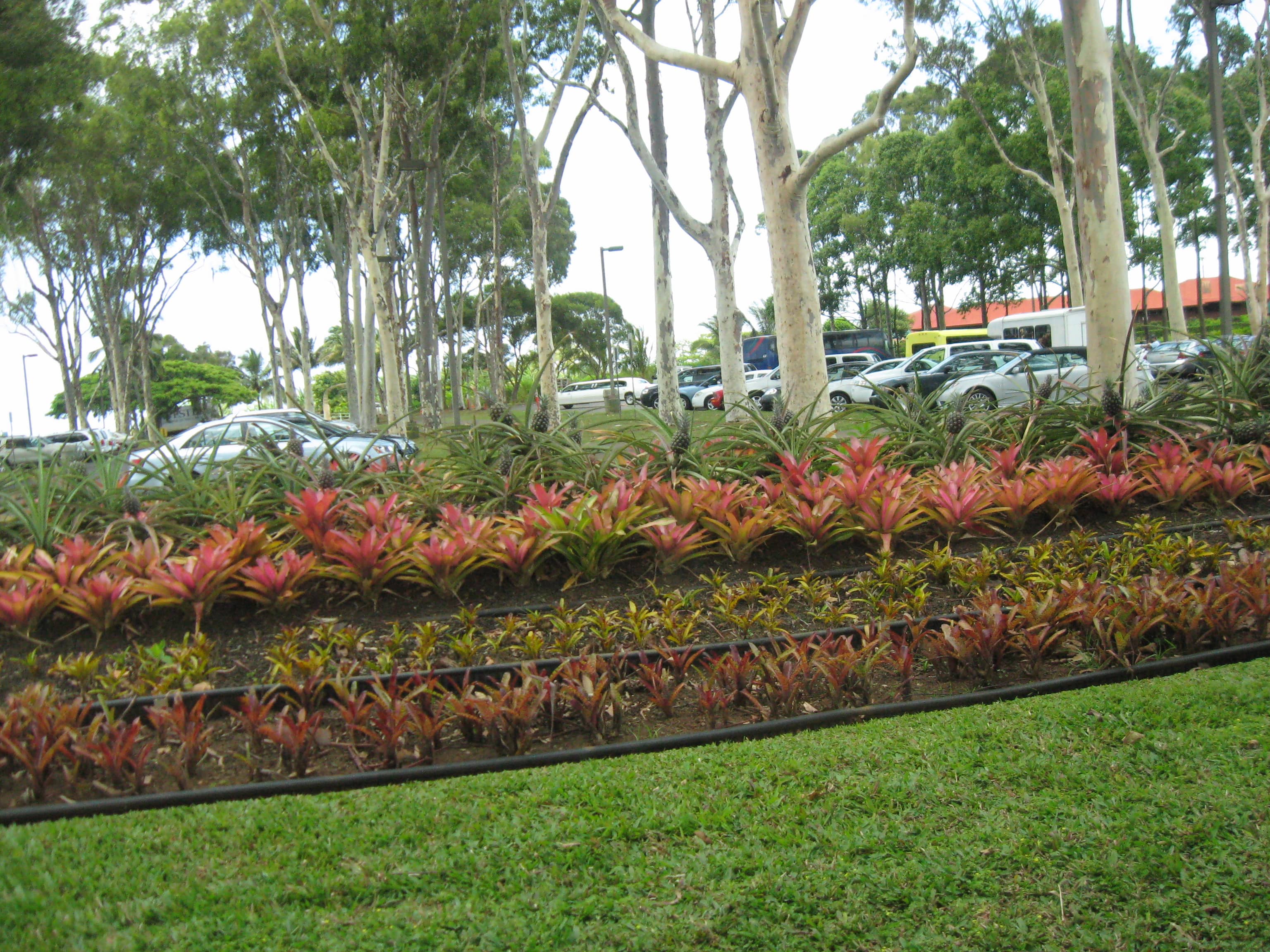 Gardens and Lake