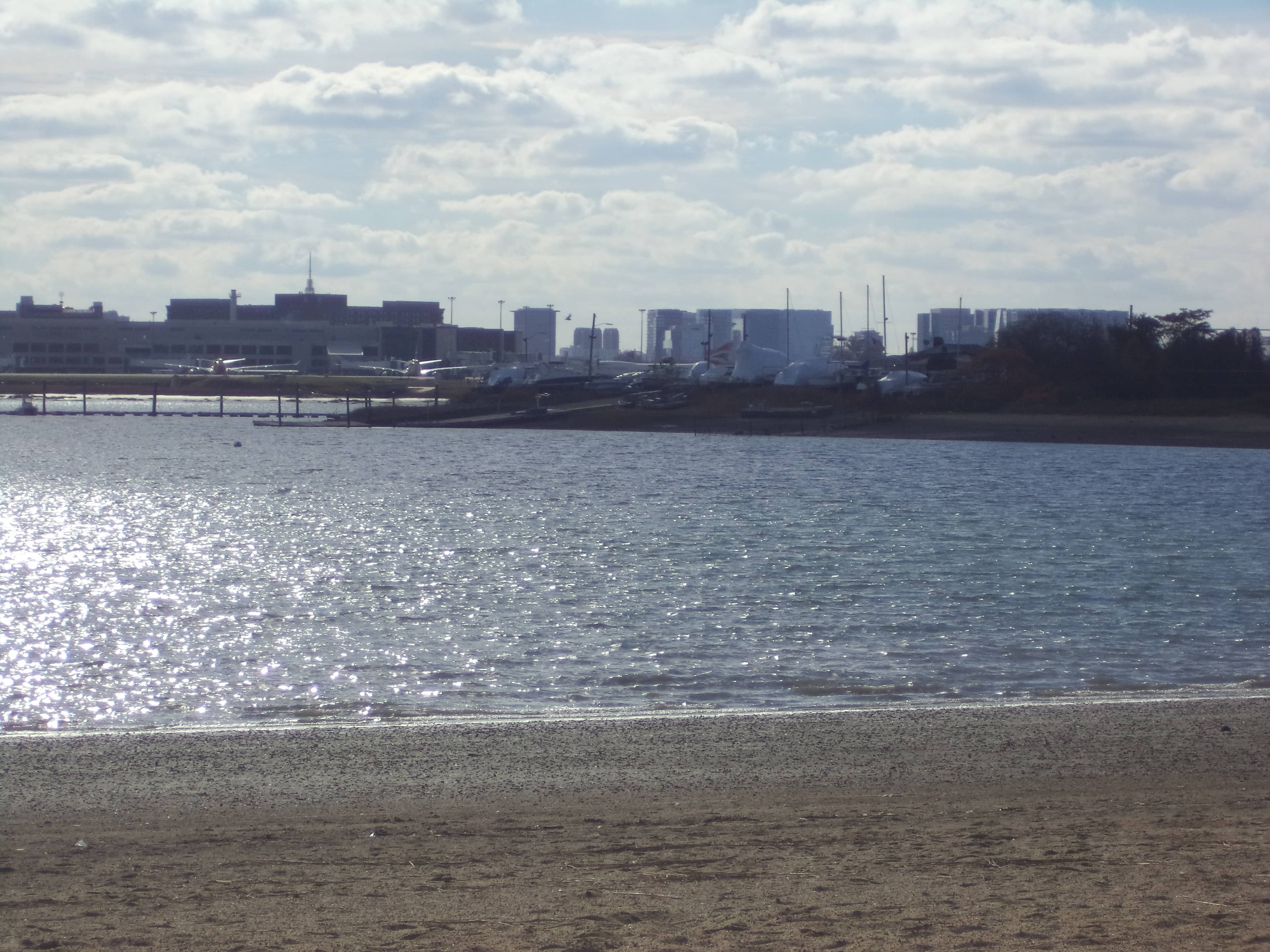 Harbor Breezes & City Views