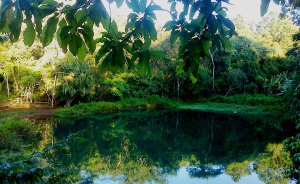 Serene Lake Views