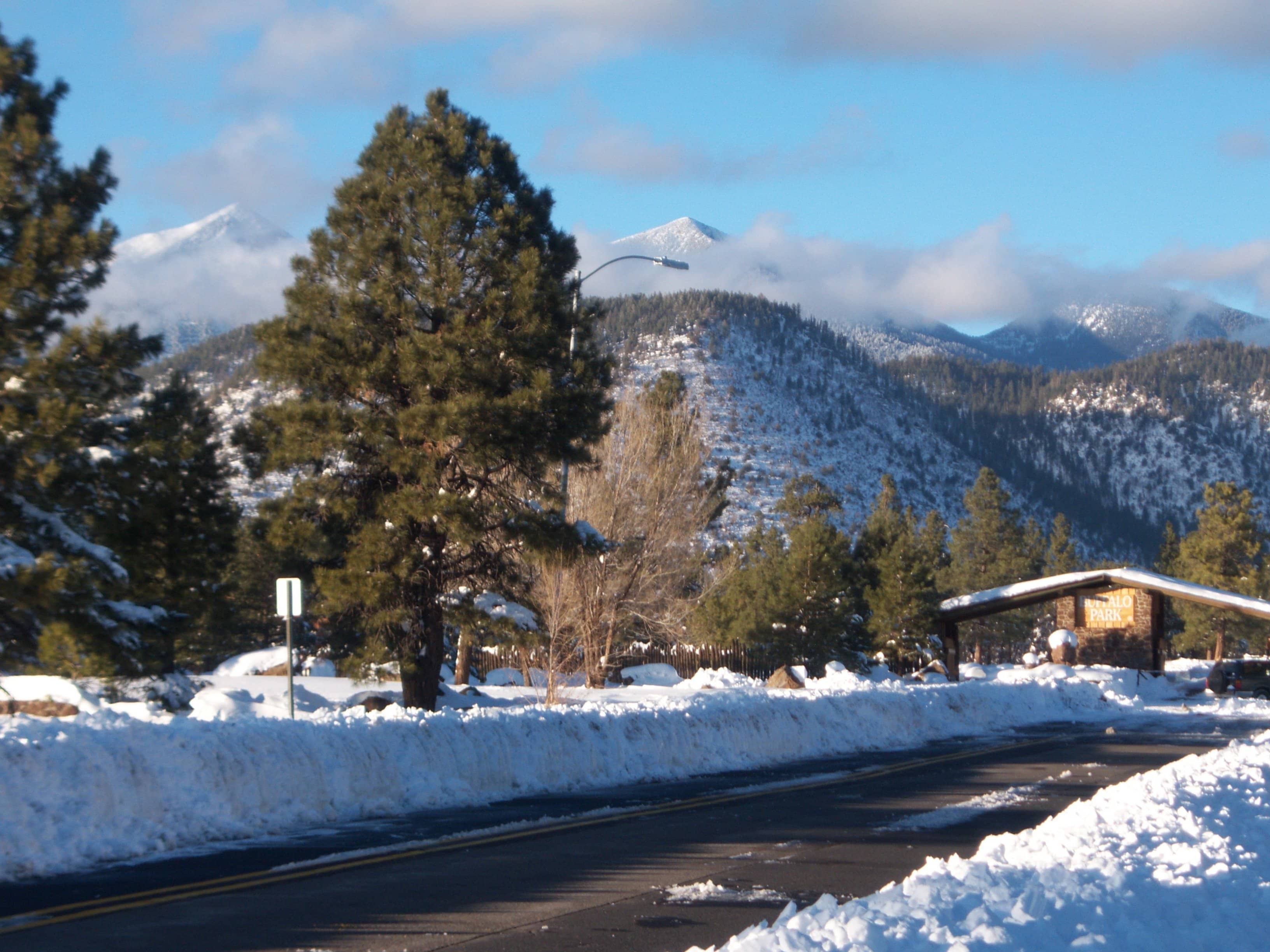 San Francisco Peaks Vista