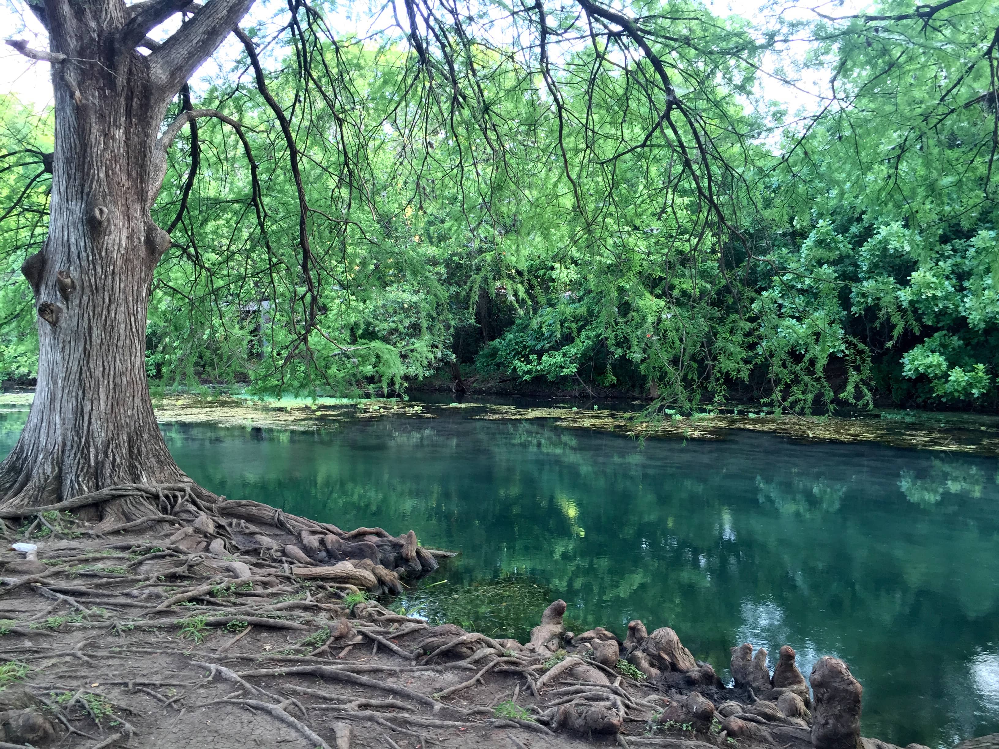 Rio Vista Park