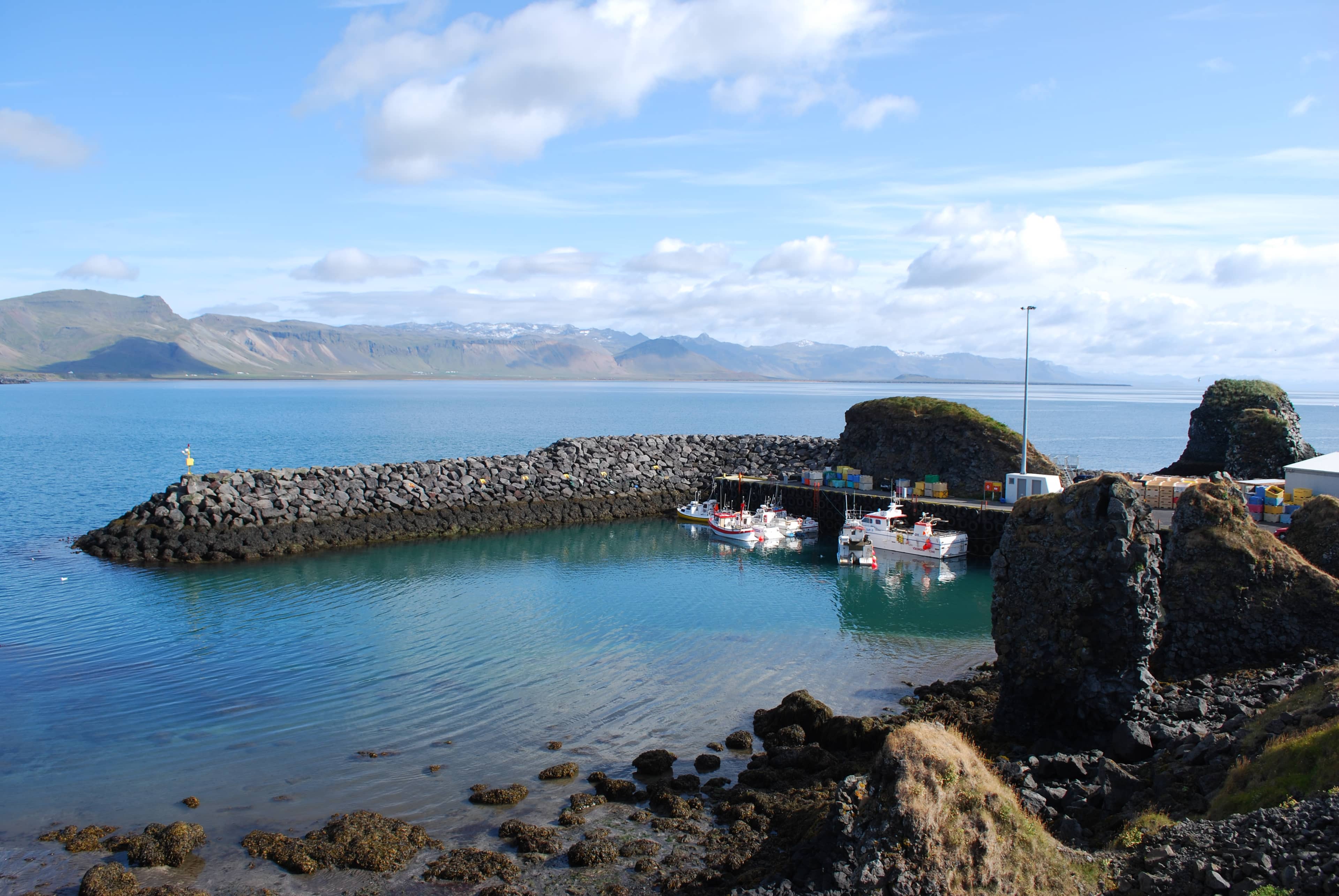 Arnarstapi Coastal Path