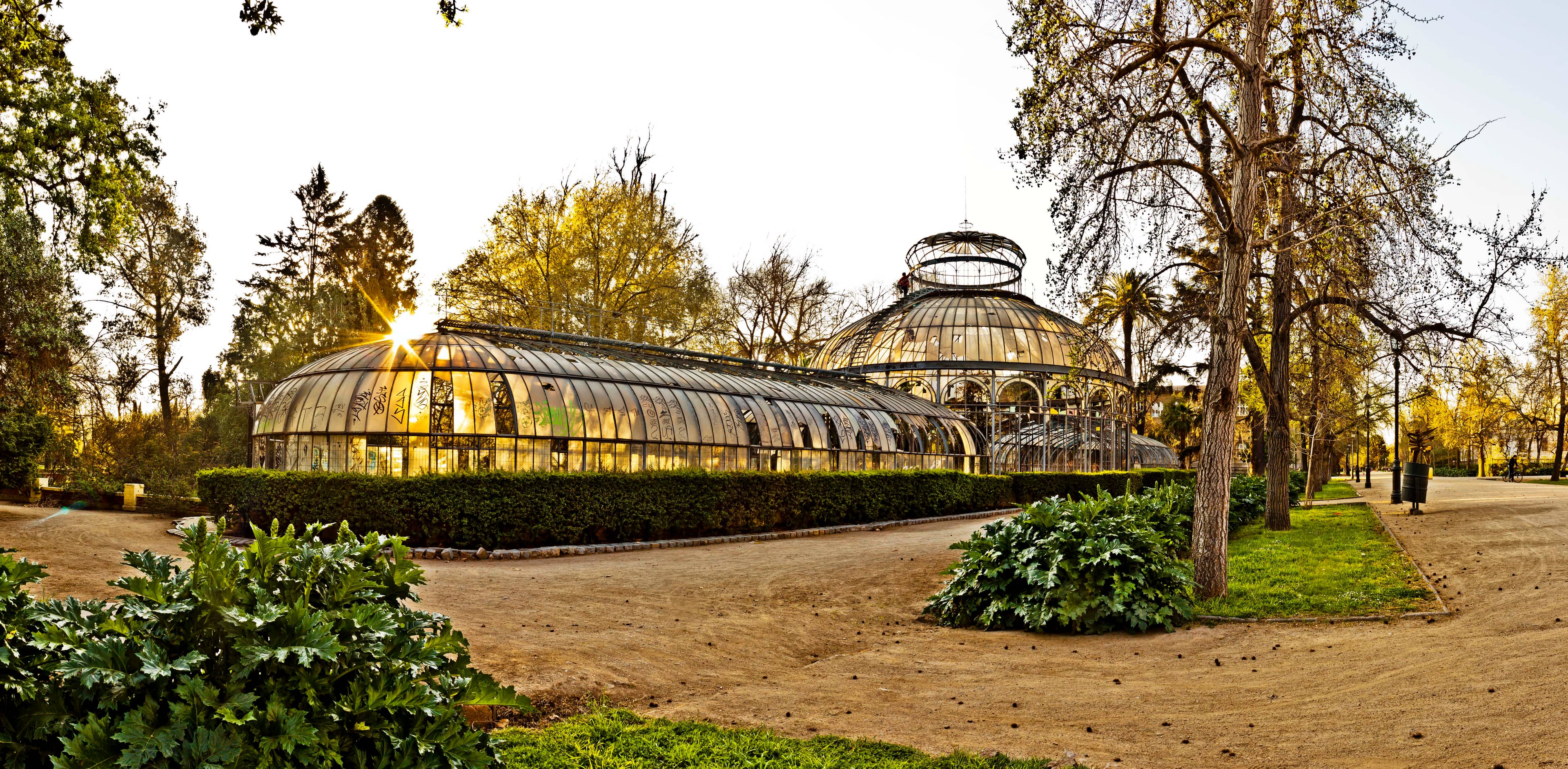 Abandoned Greenhouse
