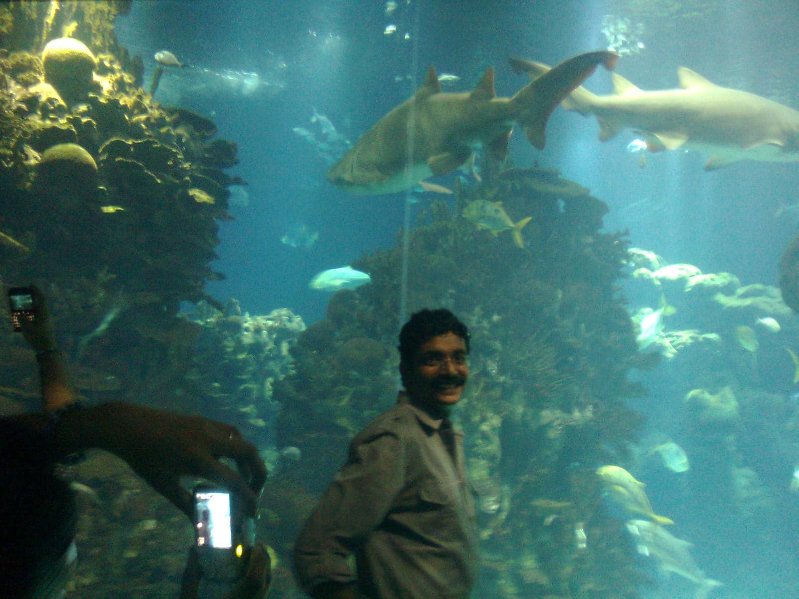 Vibrant Aquarium