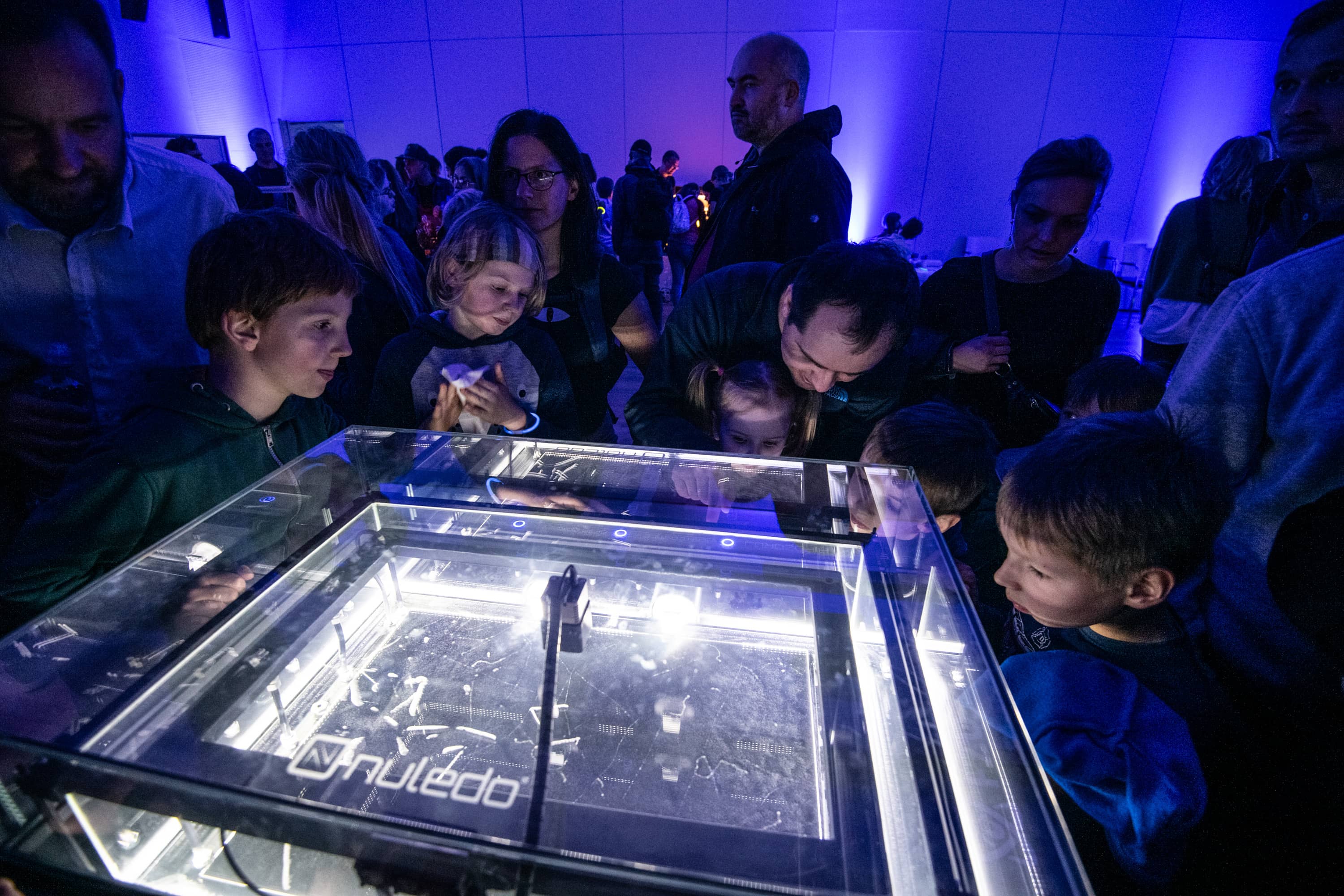 Interactive Exhibits