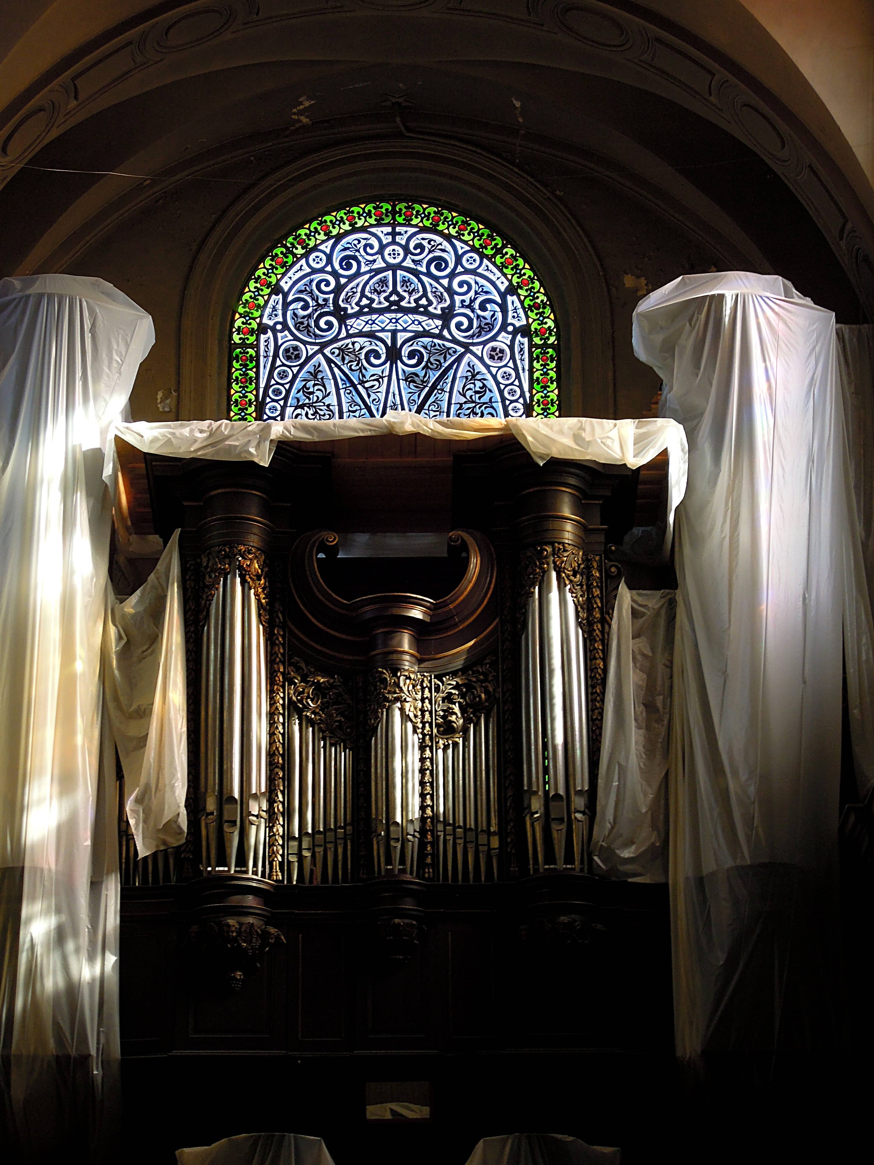 Organ Recitals