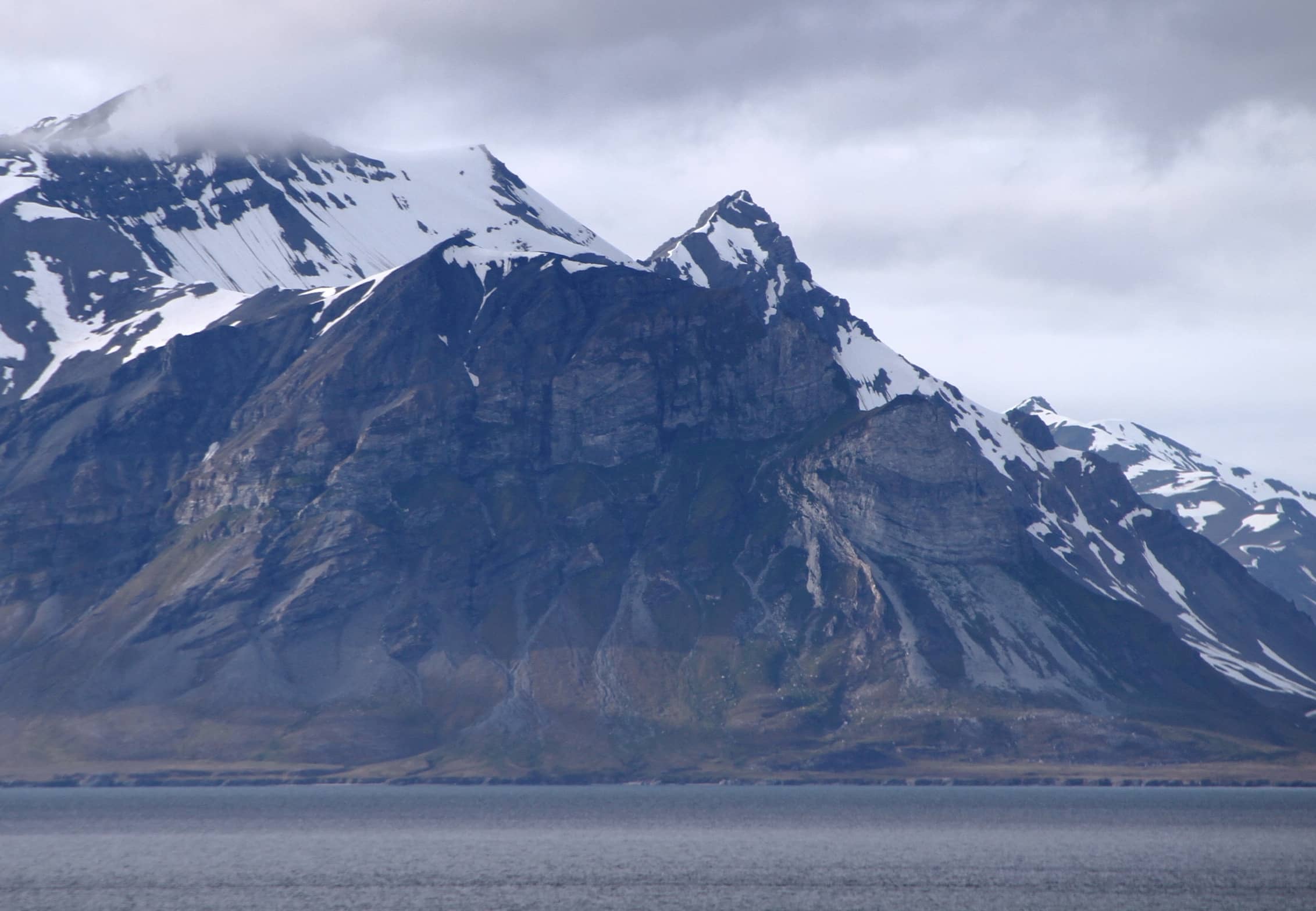 Seabird Colonies