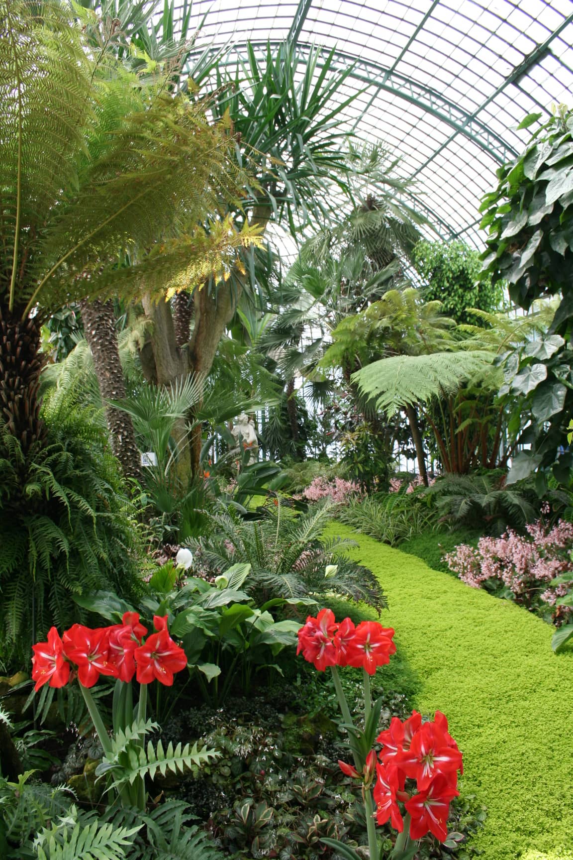Exotic Plant Collection