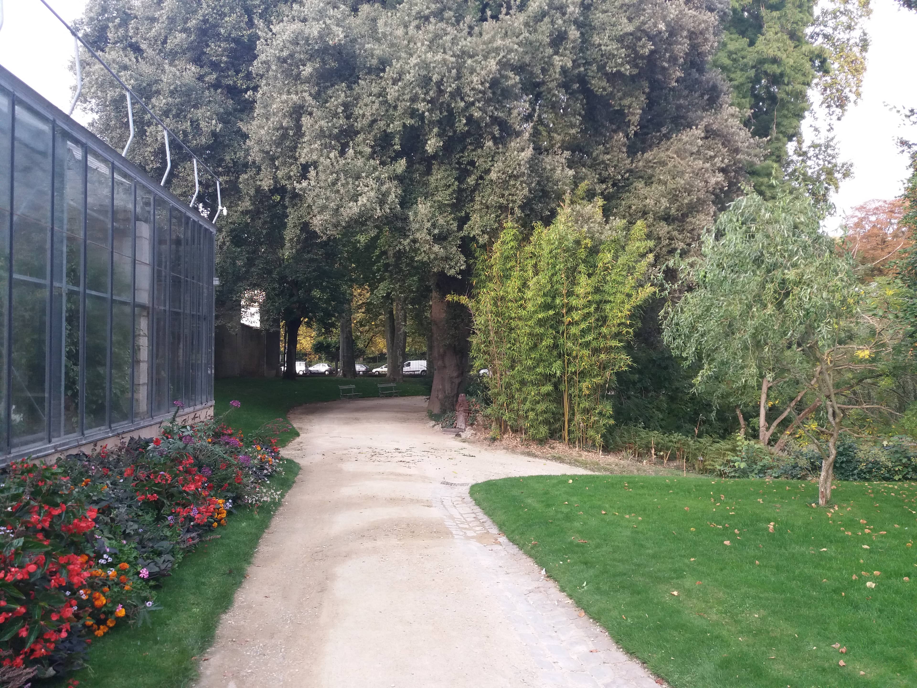Mature Trees and Seating