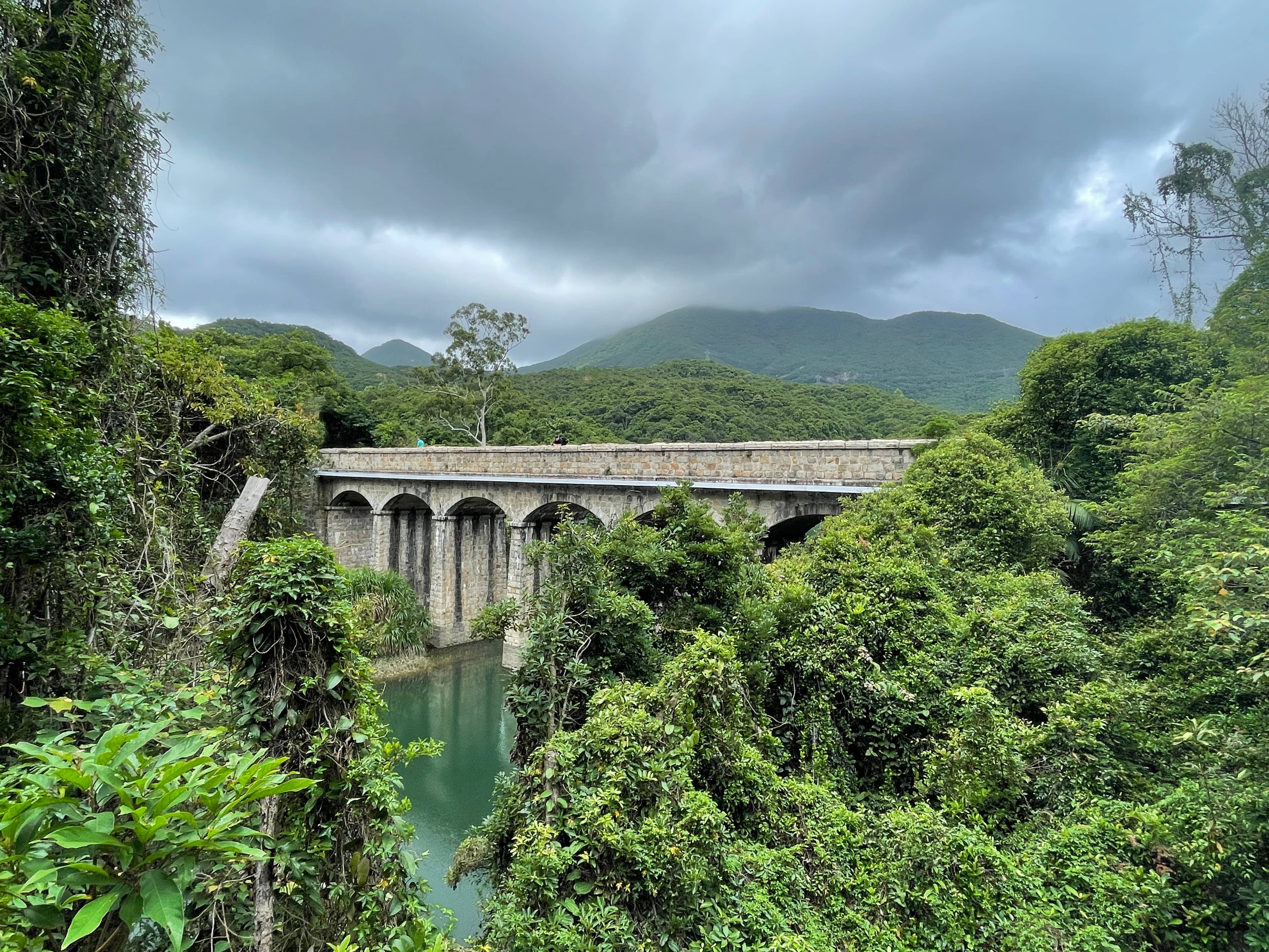 Lush Greenery and Serene Views