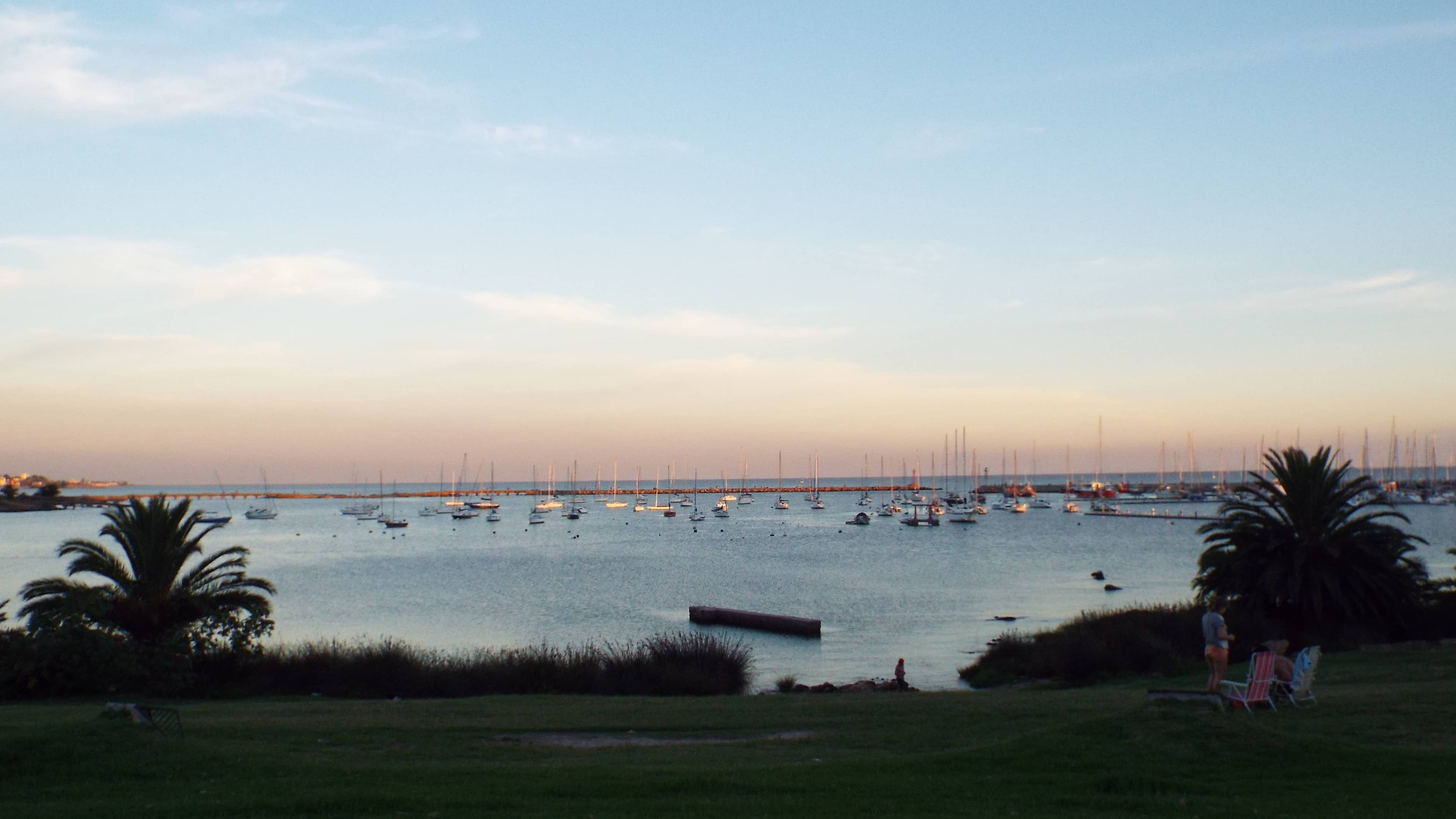 Peaceful Waterfront Walks