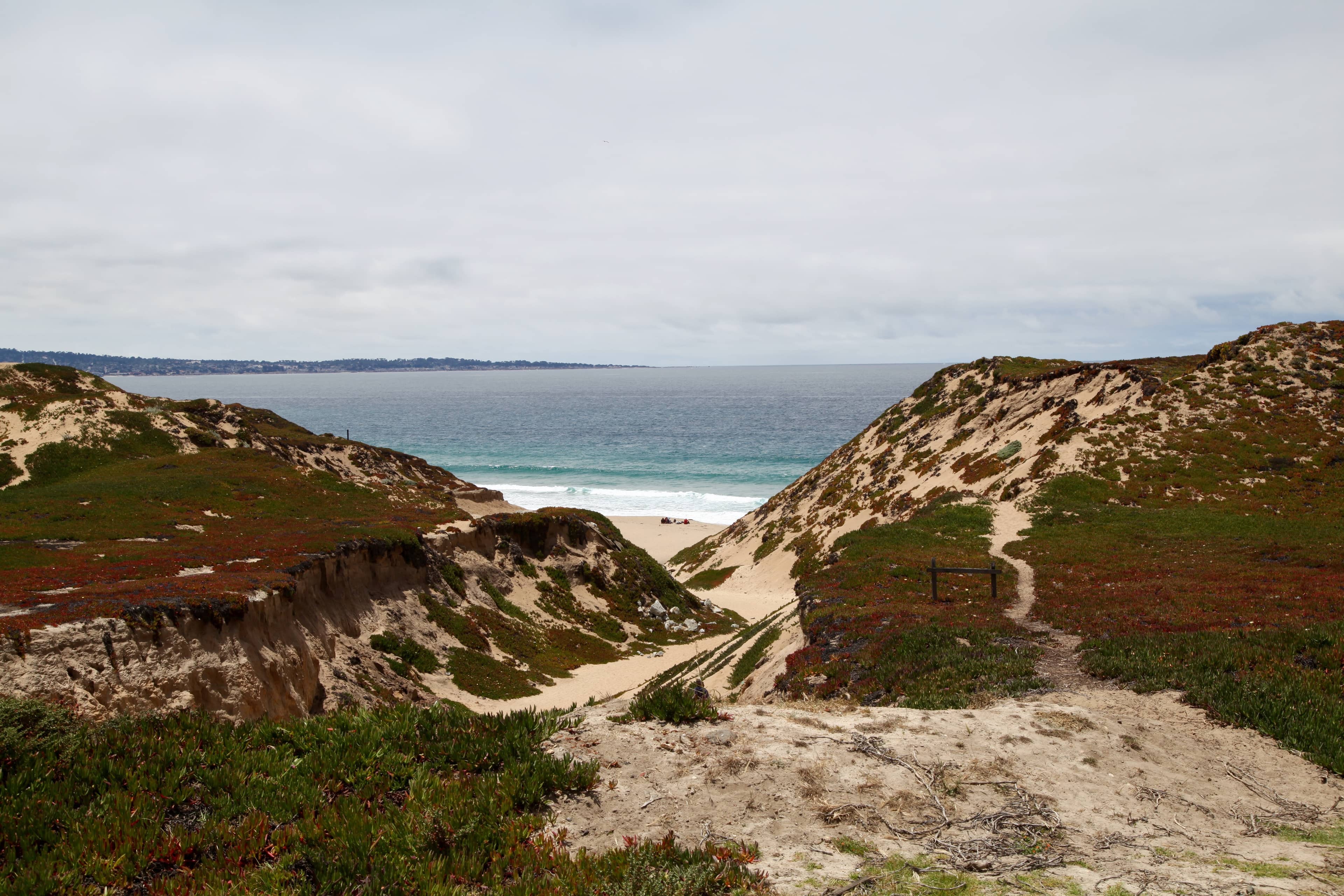 Ocean Views & Wildlife