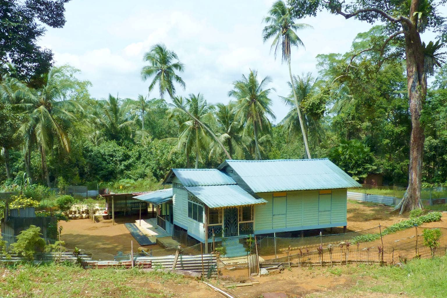 Kampong Life