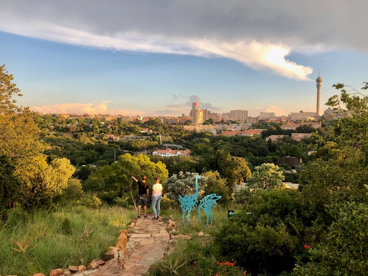 Panoramic City Views