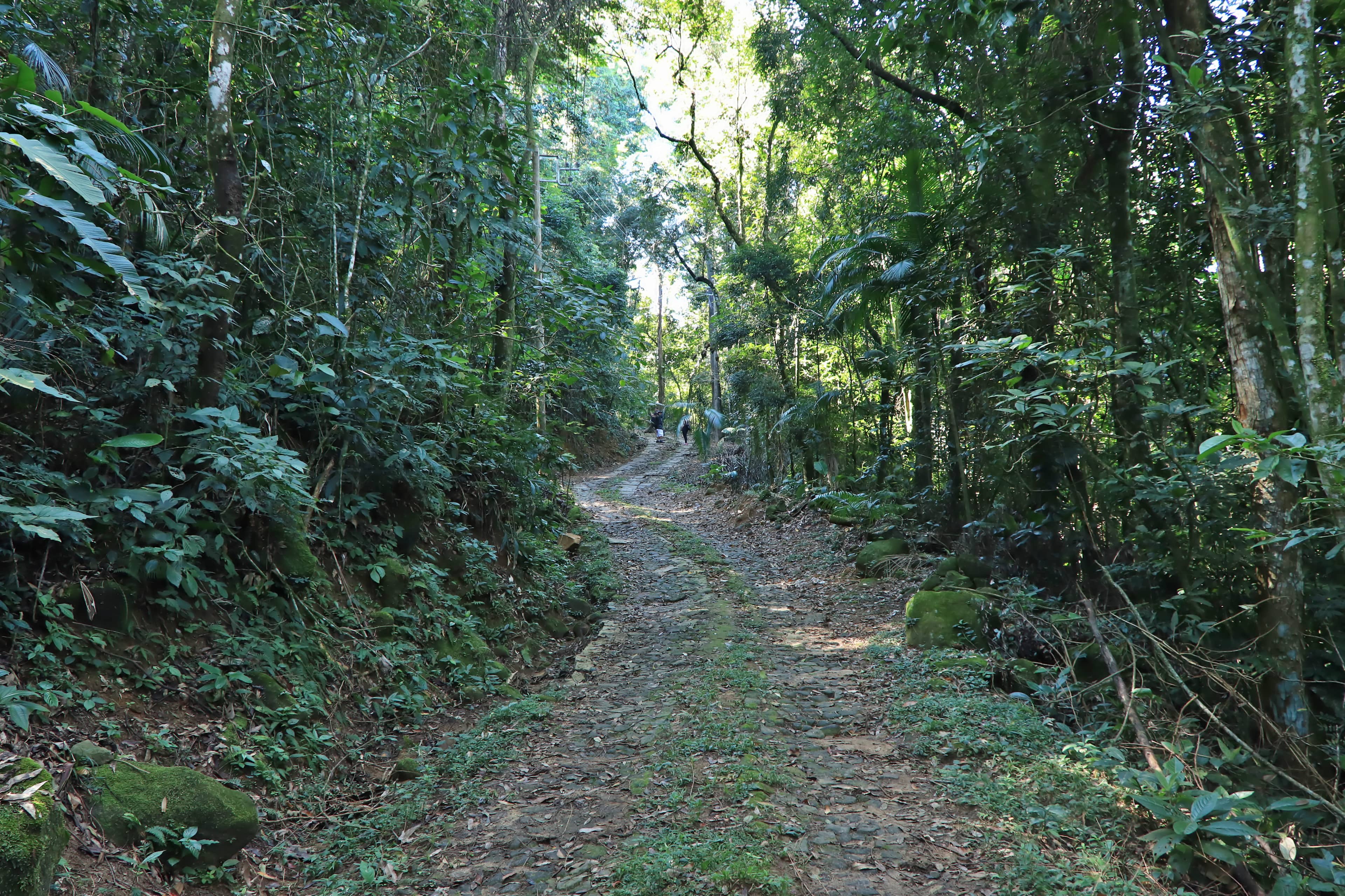 Historic Gold Route