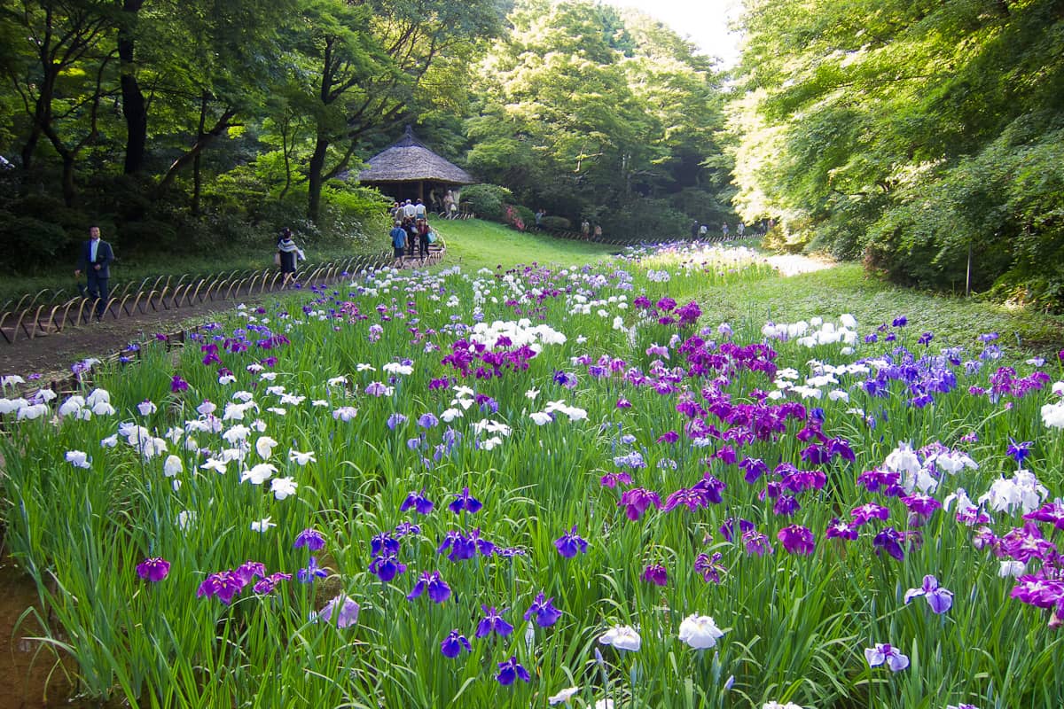 Inner Garden