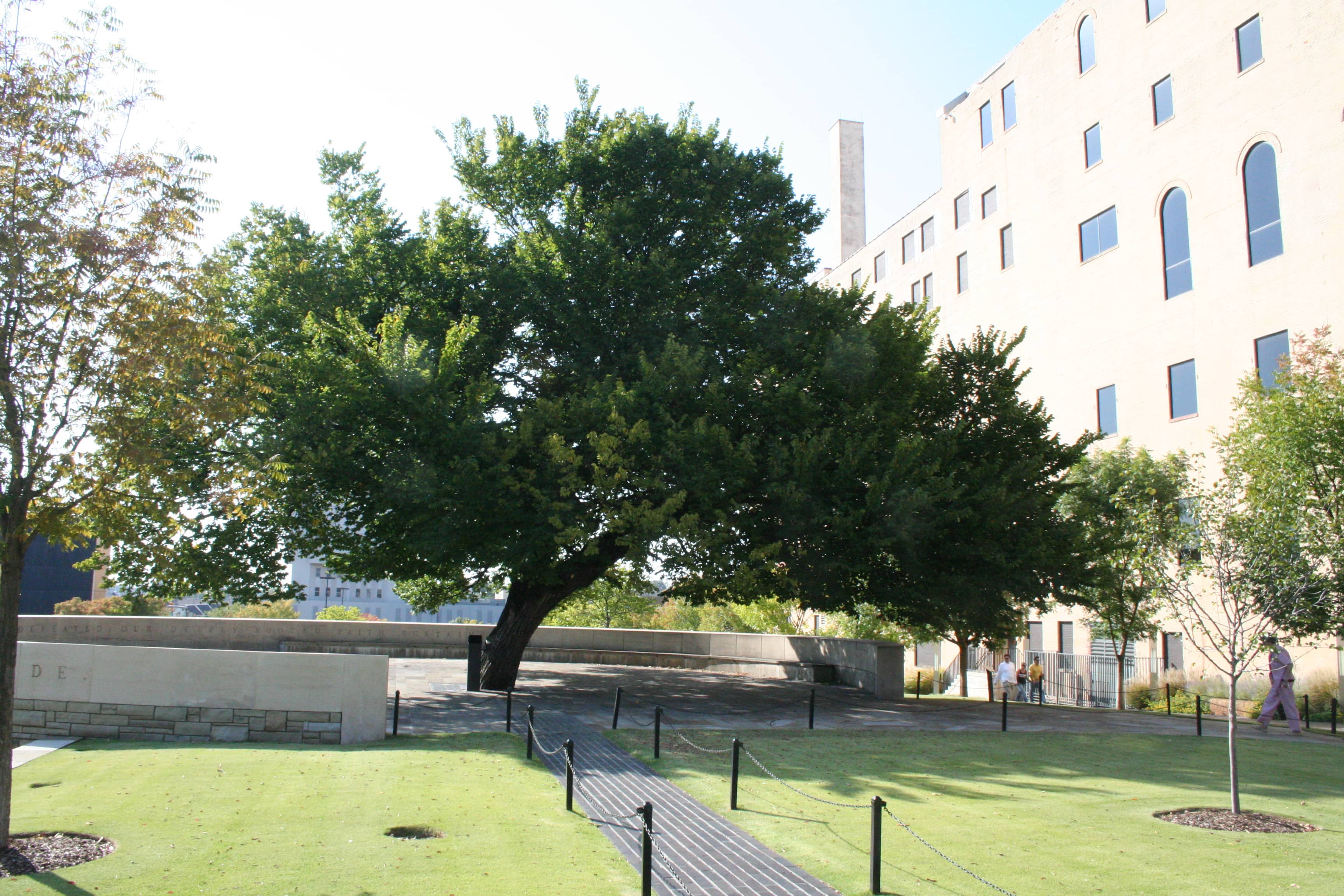 Survivor Tree
