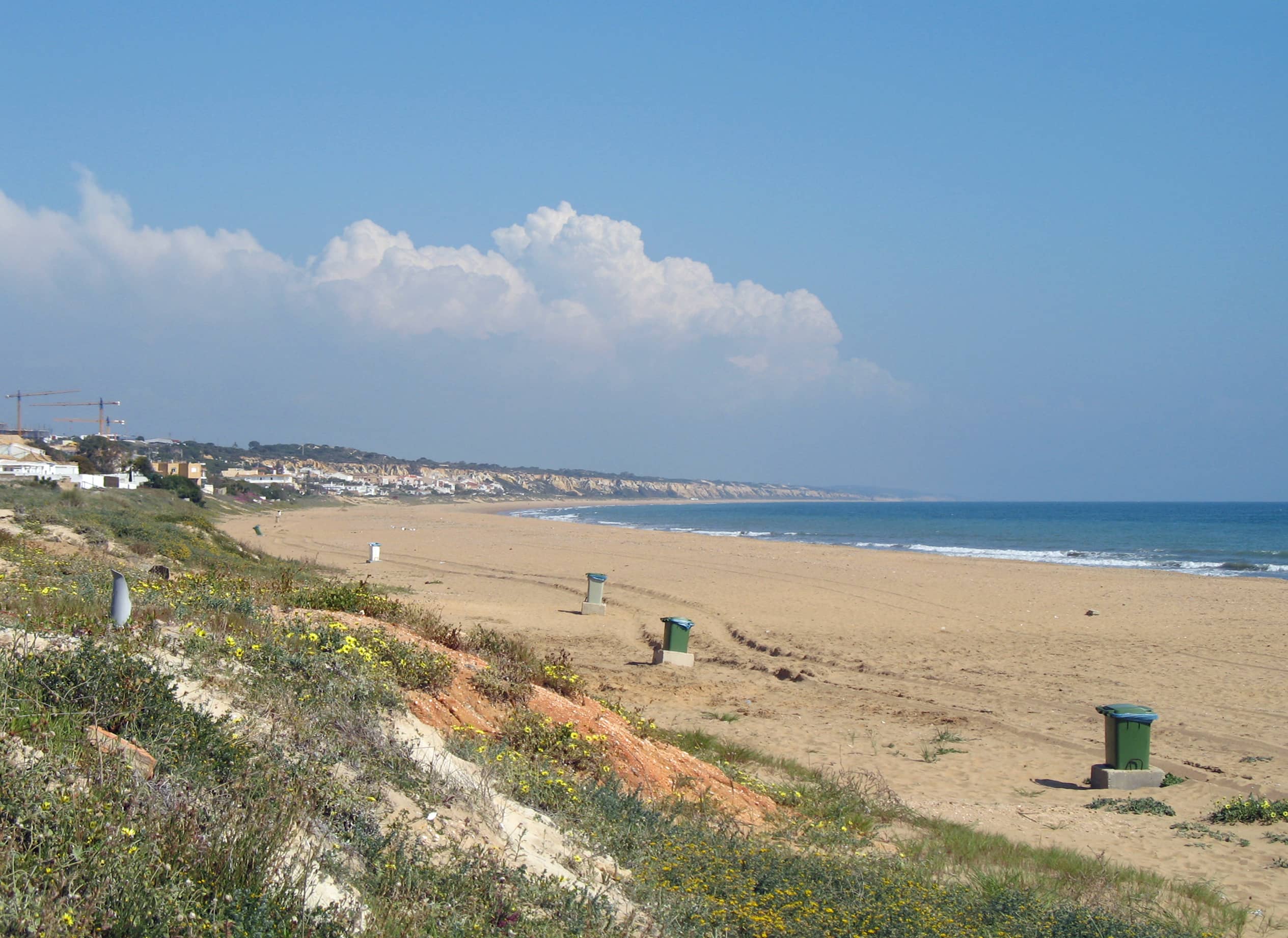 Expansive Sandy Shores