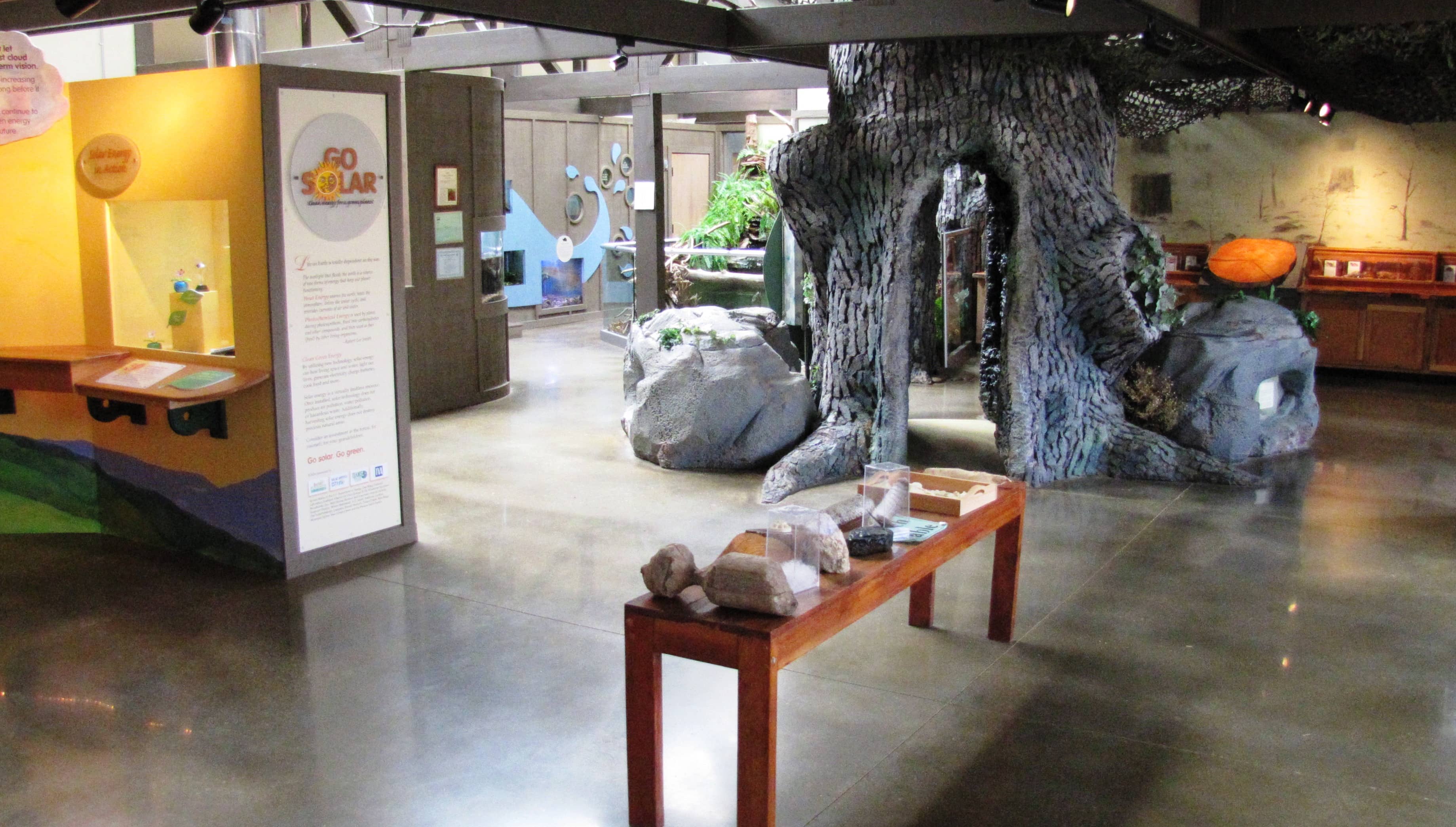 Visitor Center Exhibits