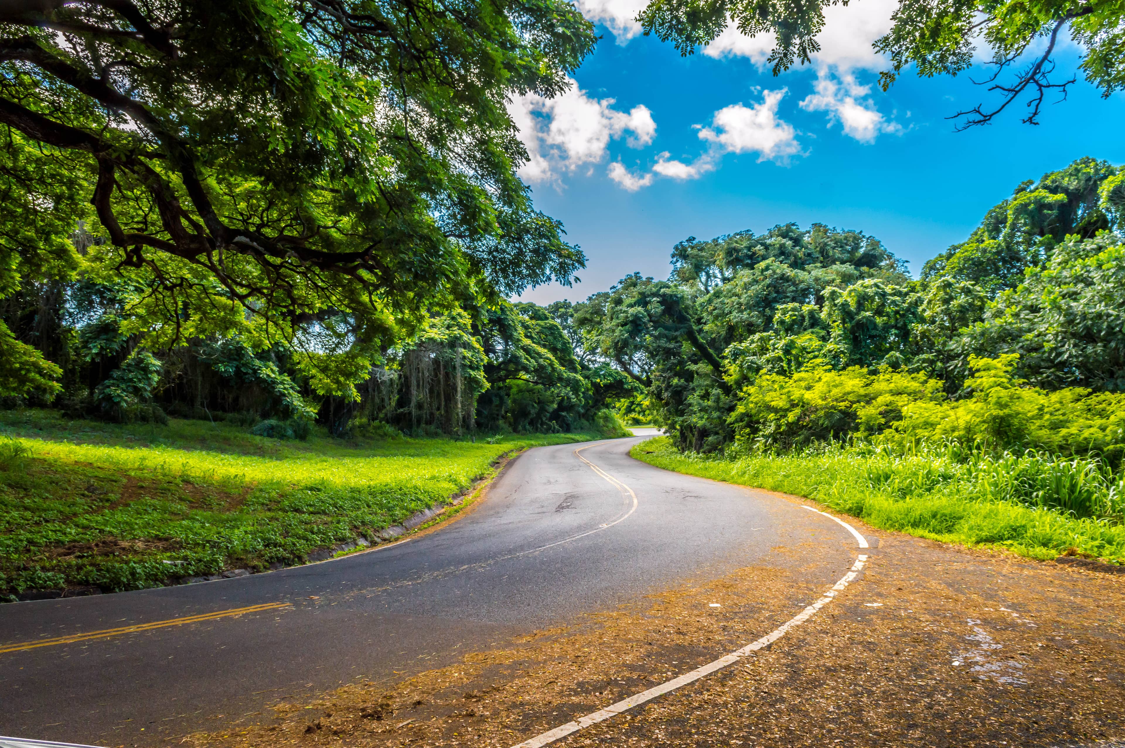 Round Top Drive