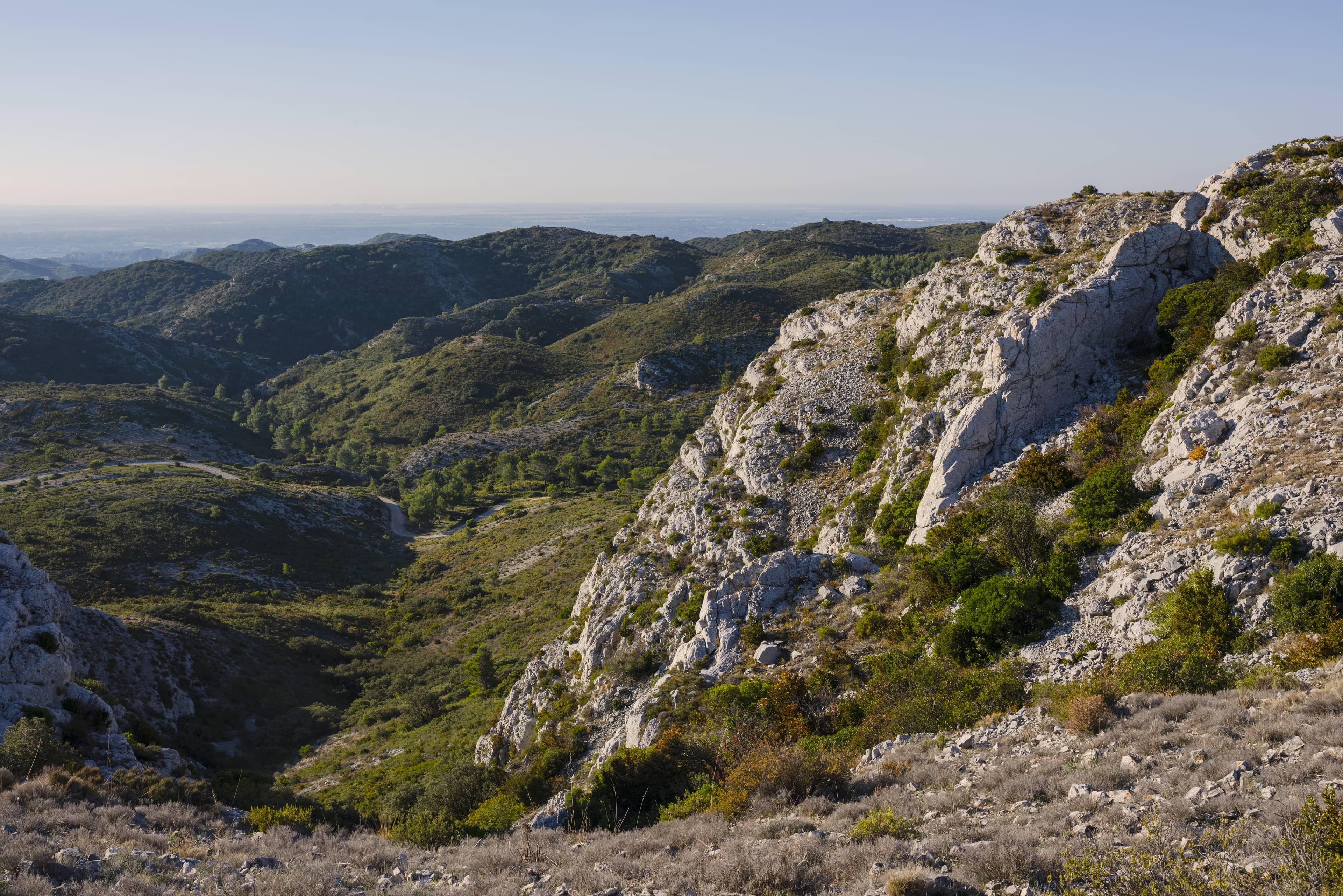 Panoramic Vistas