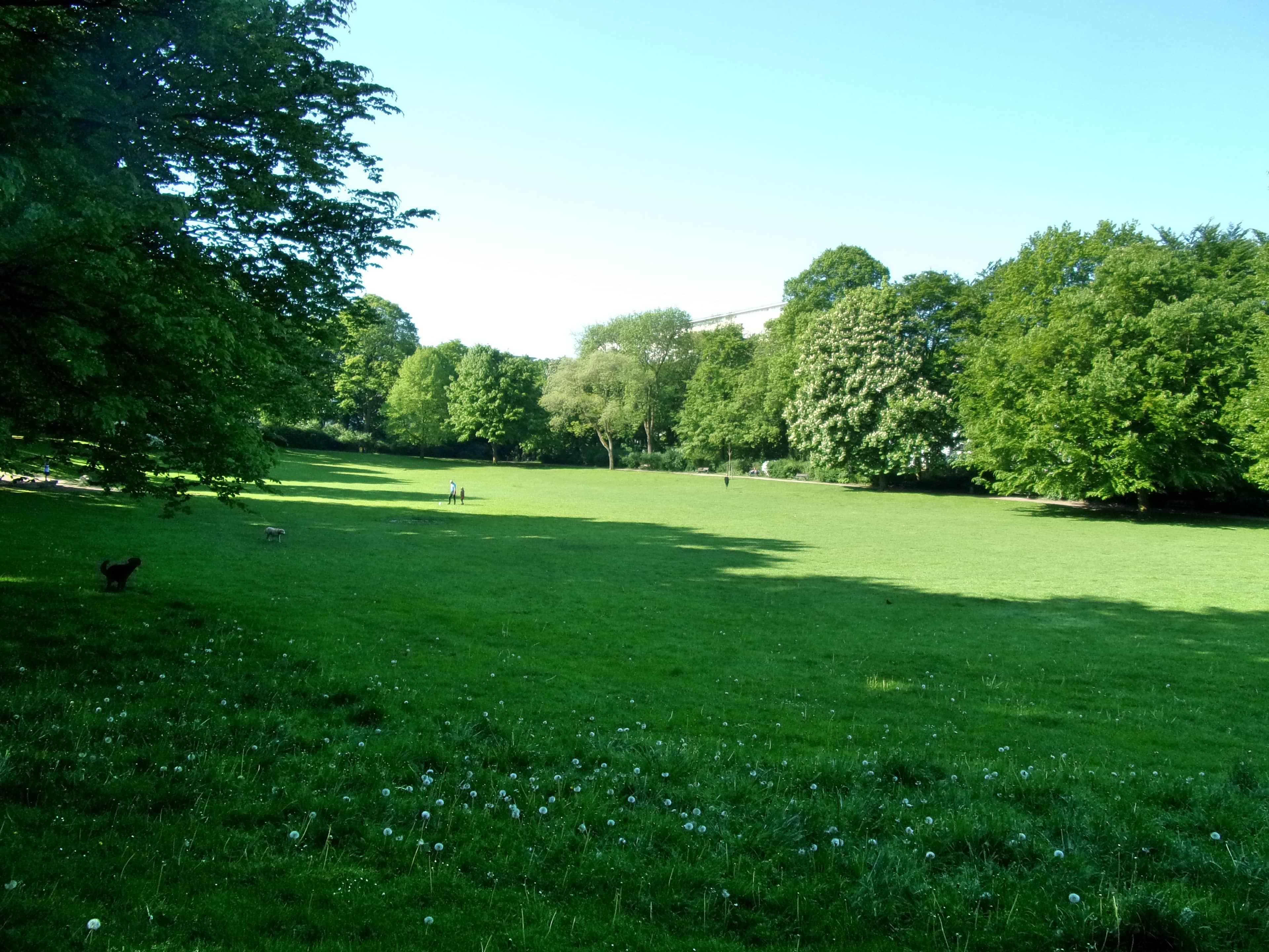 Innocentiapark's Serenity