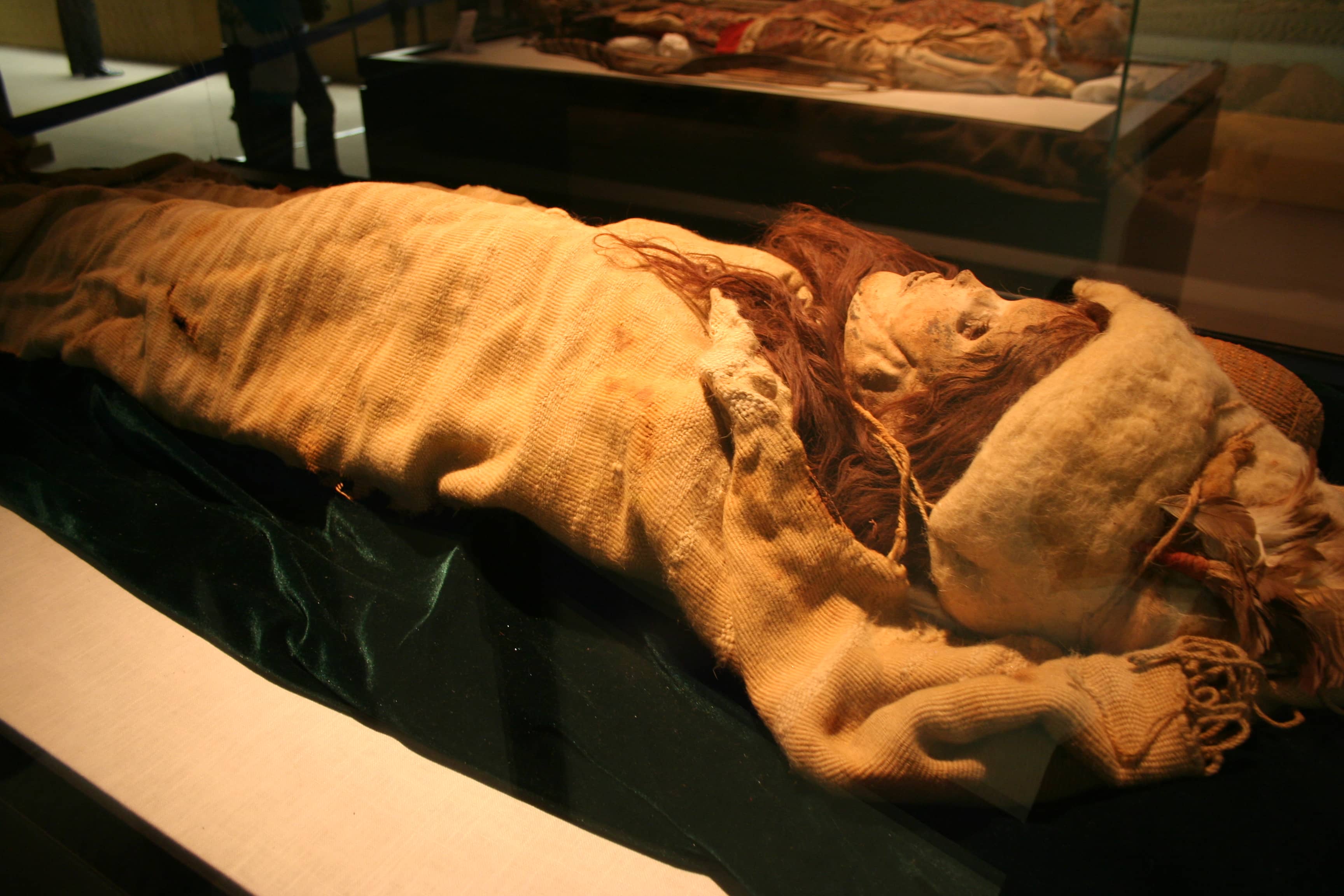 Special Exhibitions
