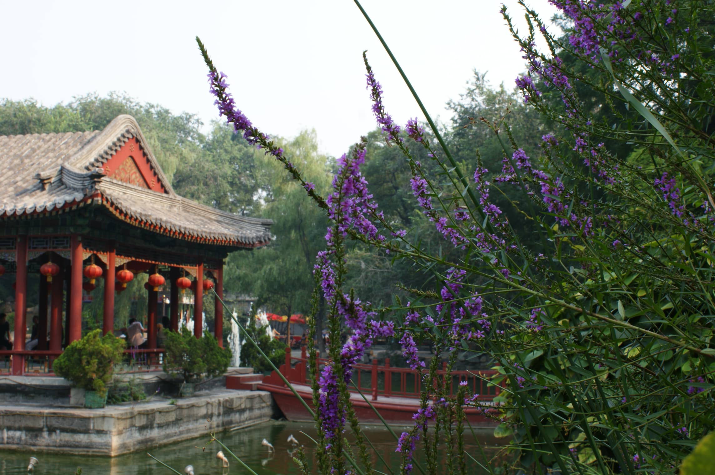 Tranquil Gardens