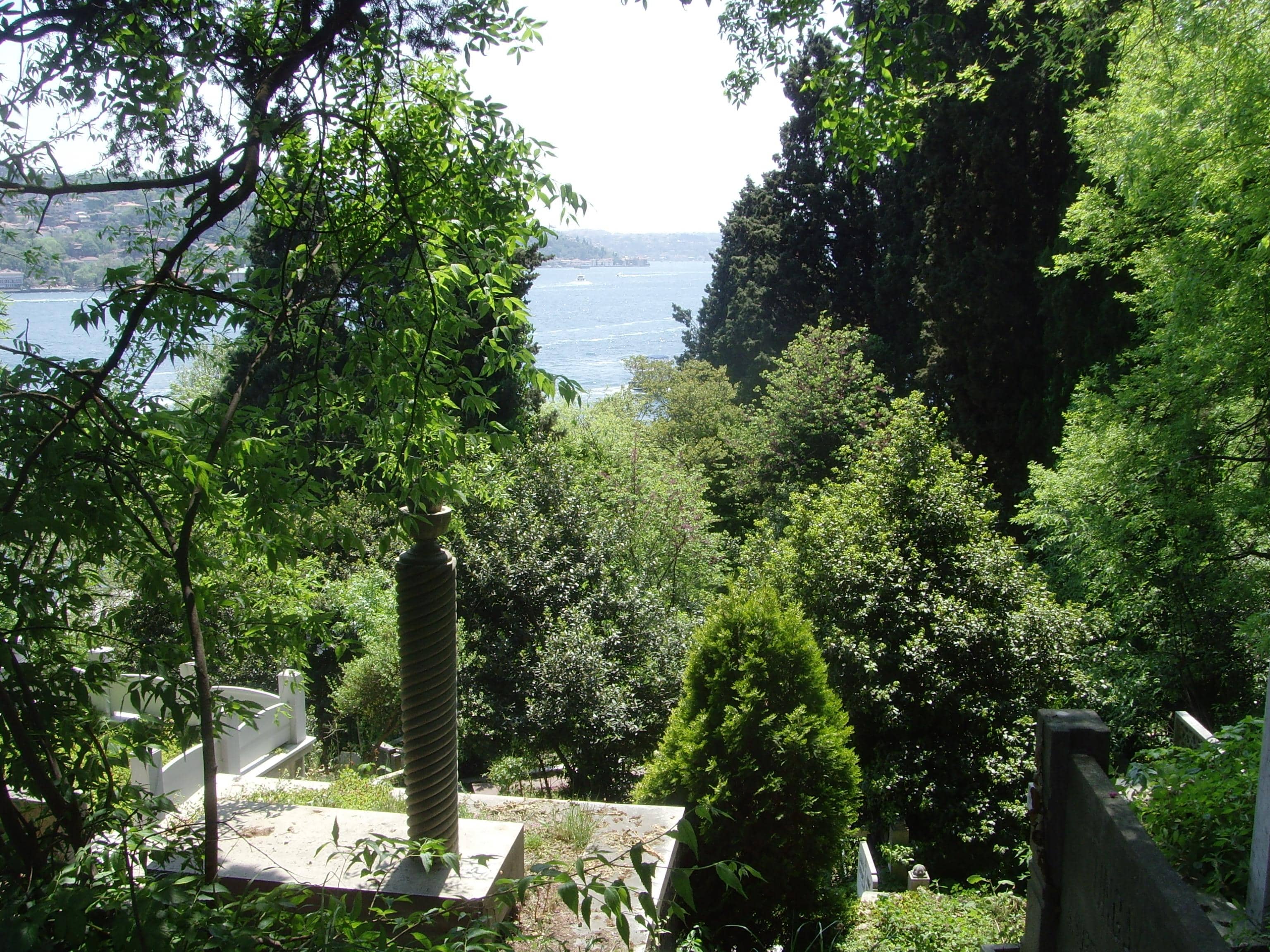 Bosphorus Views