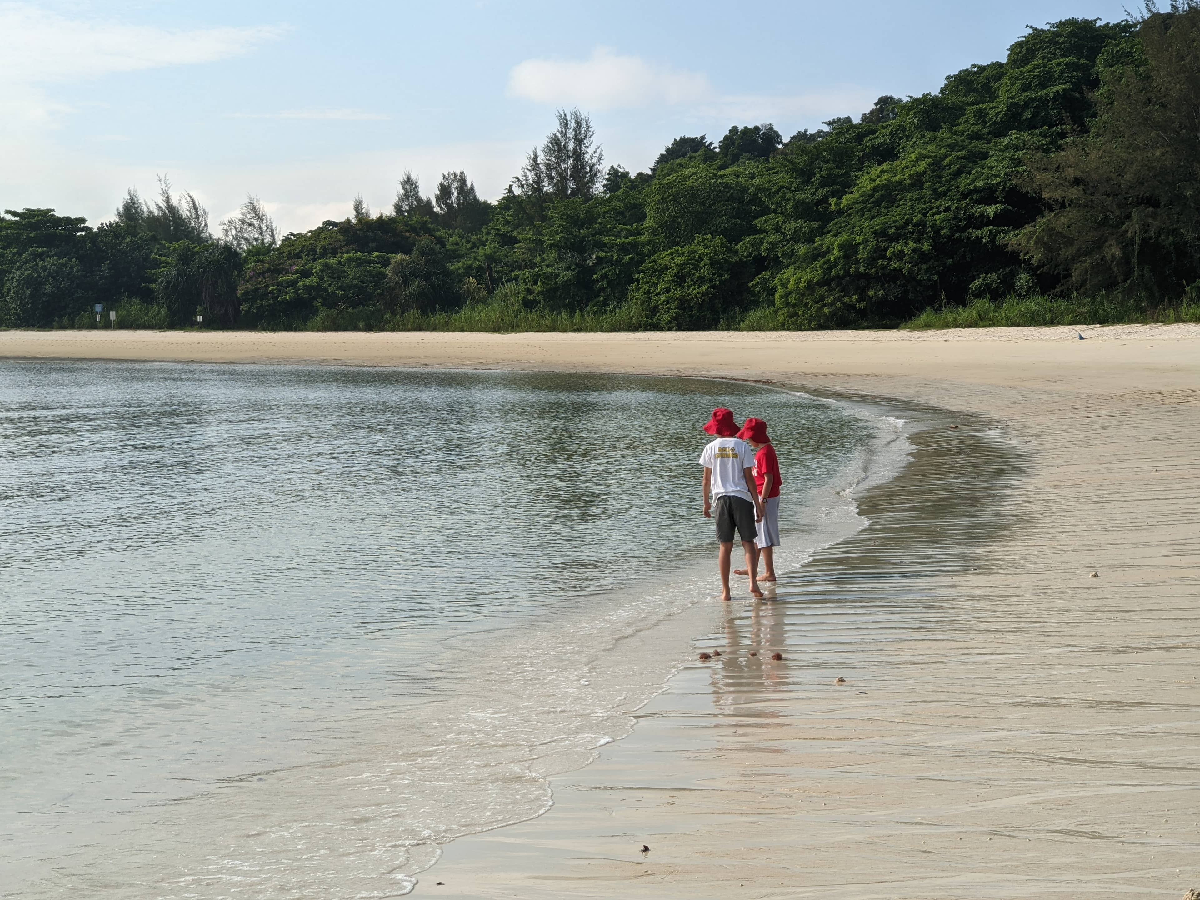 Beaches of Lazarus Island