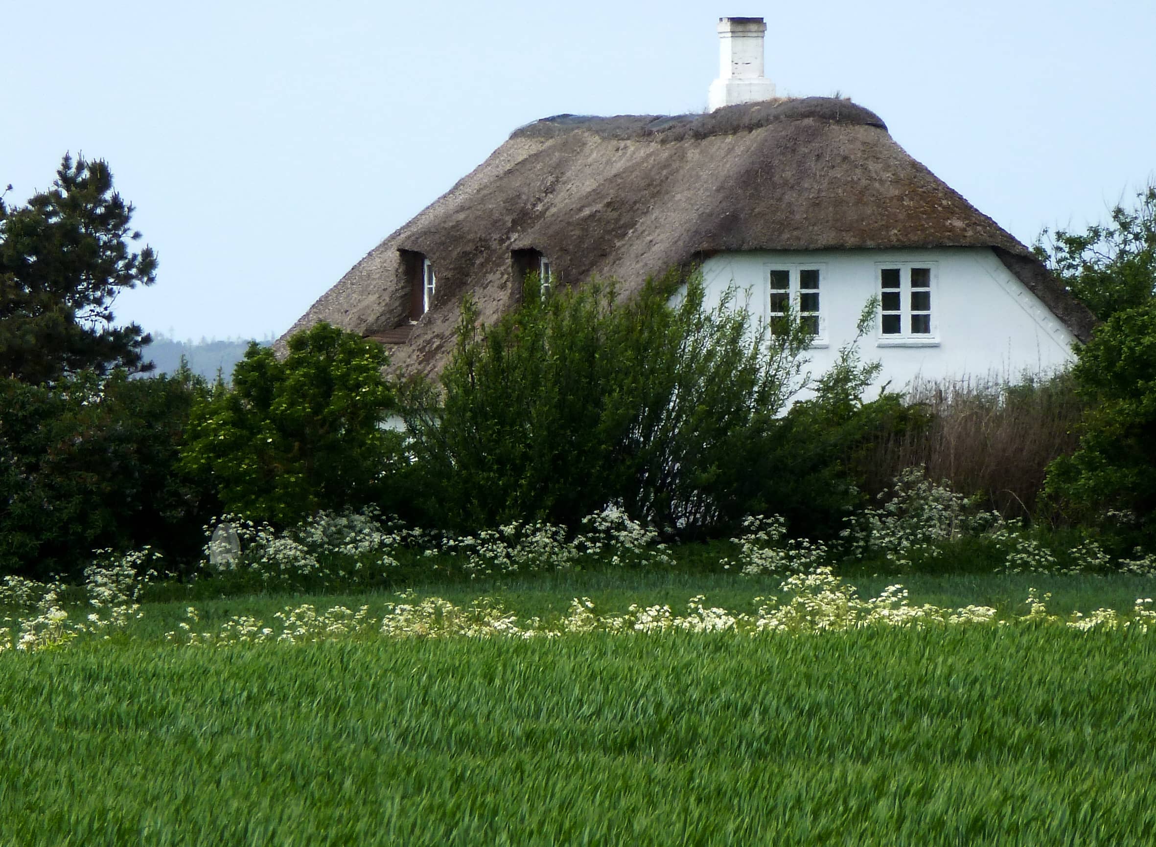 Thatched-Roof Cottages