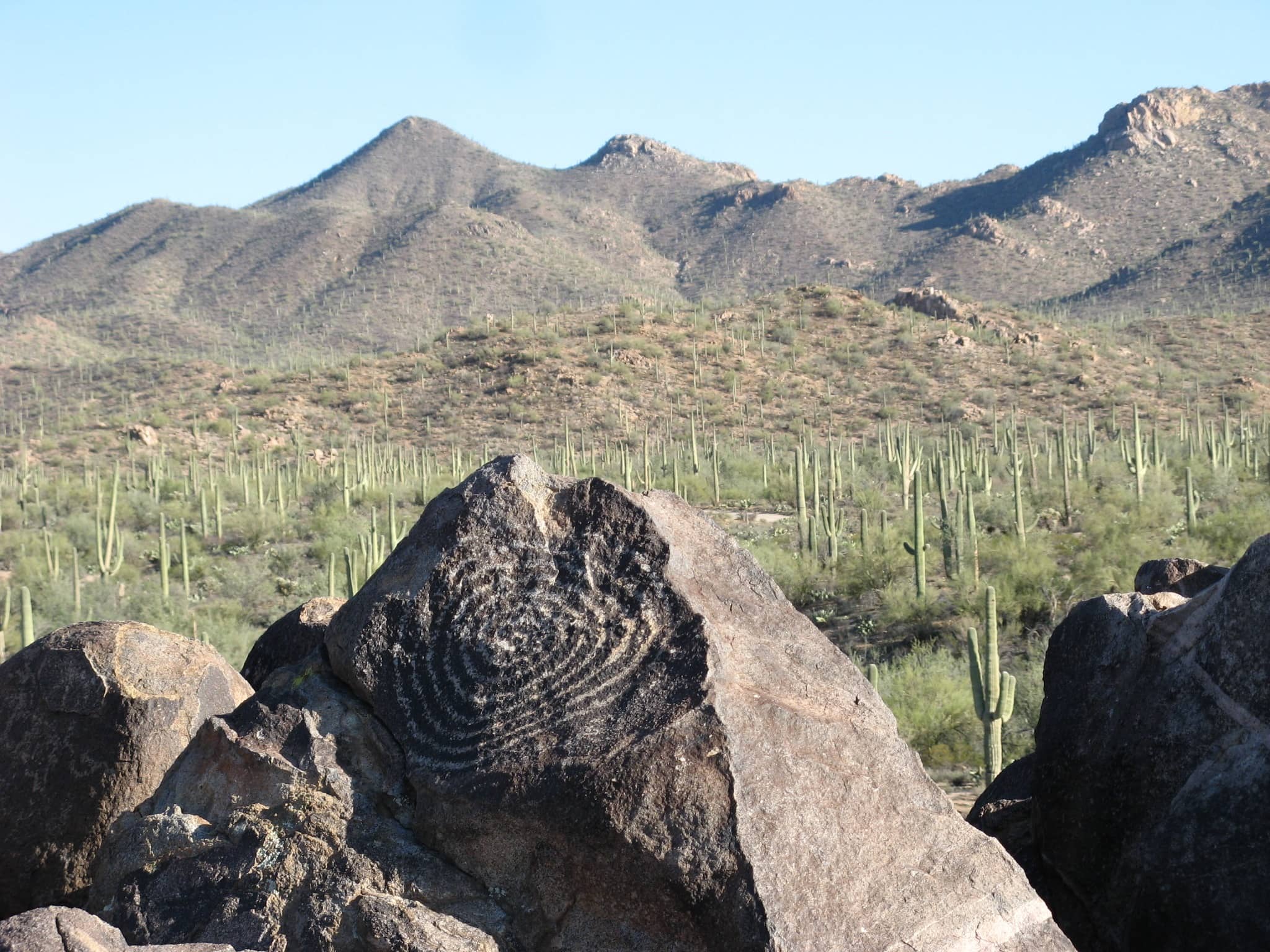 Petroglyph Discoveries
